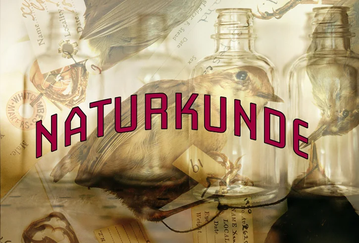 NATURKUNDE1sm cropped.jpg