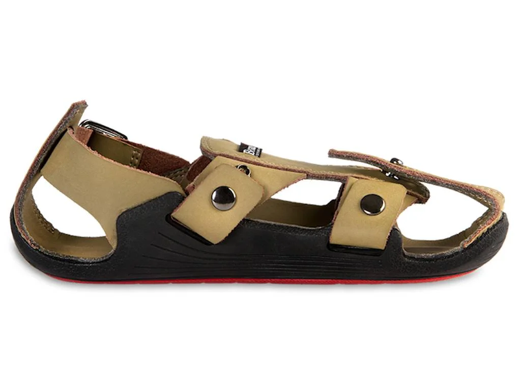 Shoe Dogs and The Shoe That Grows