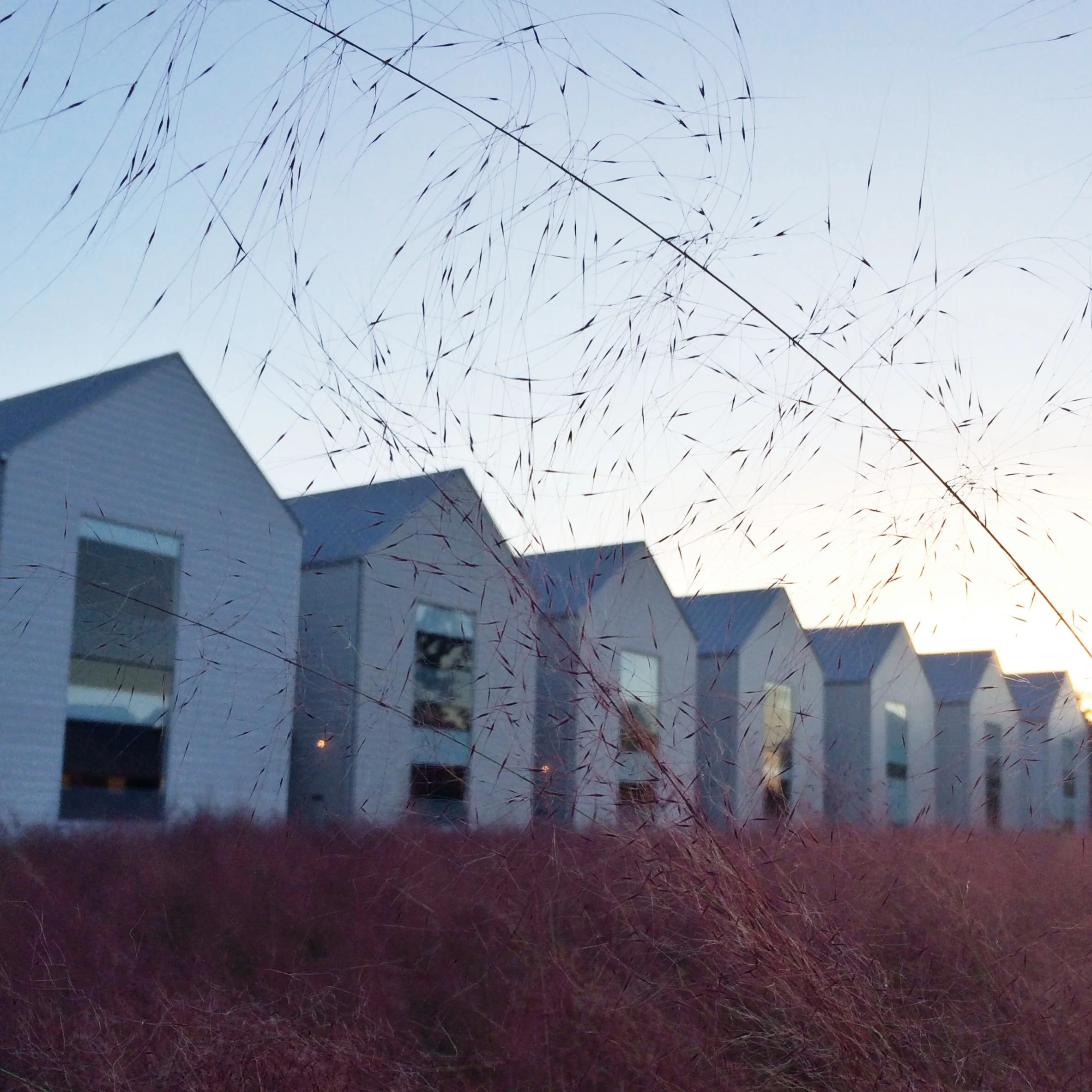 Photo Nov 03, 5 10 23 PM.jpg