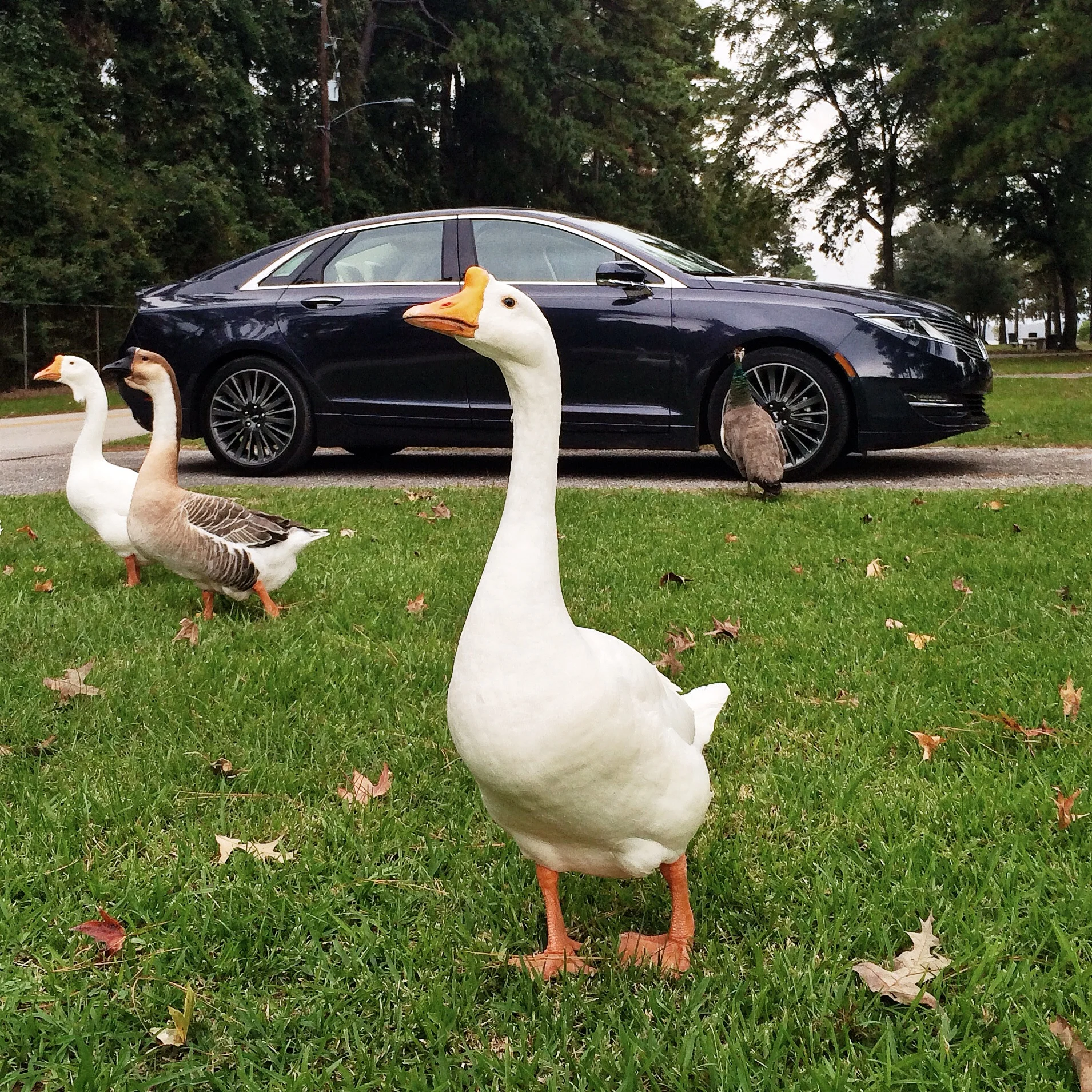 Photo Nov 04, 3 09 58 PM.jpg