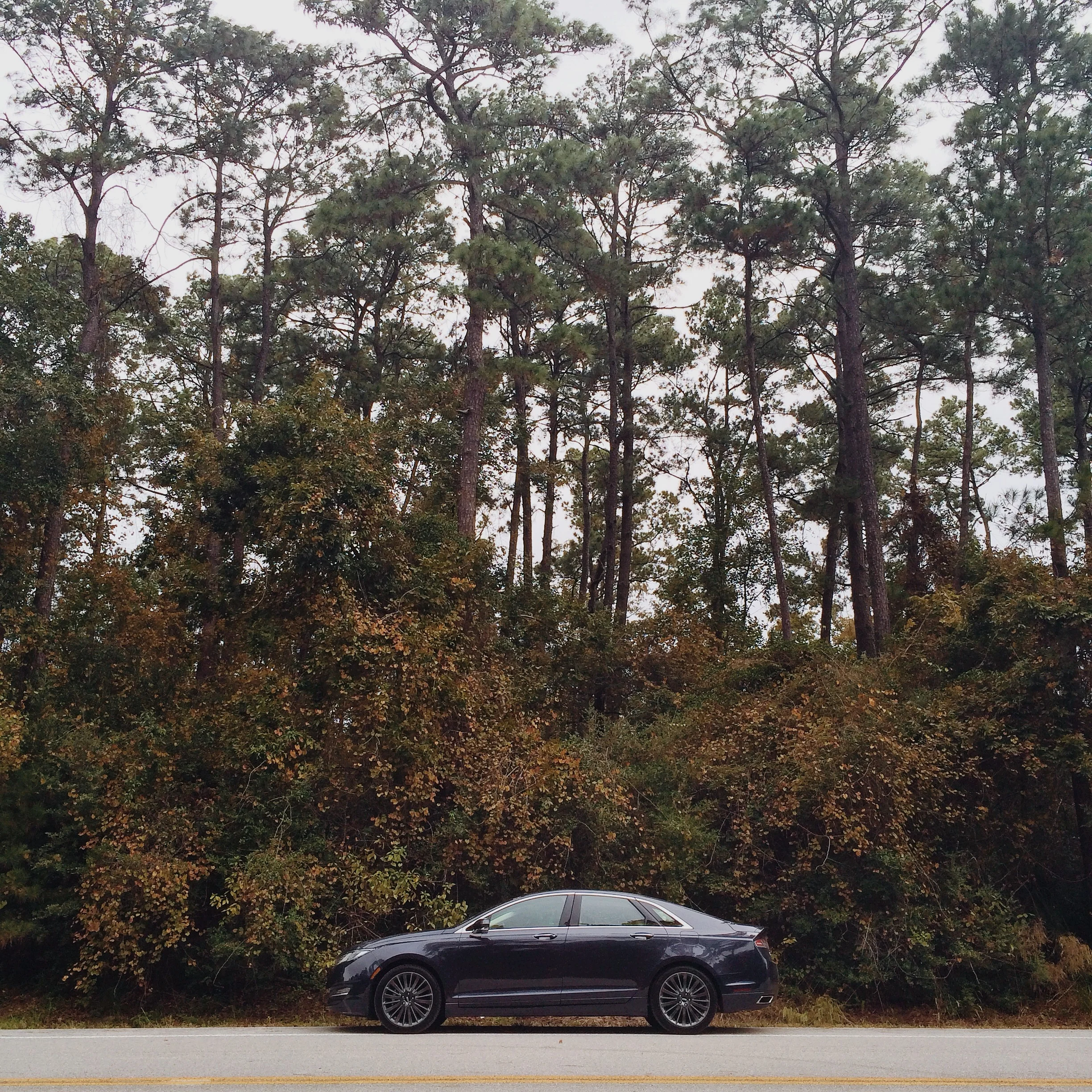 Photo Nov 04, 3 12 58 PM.jpg