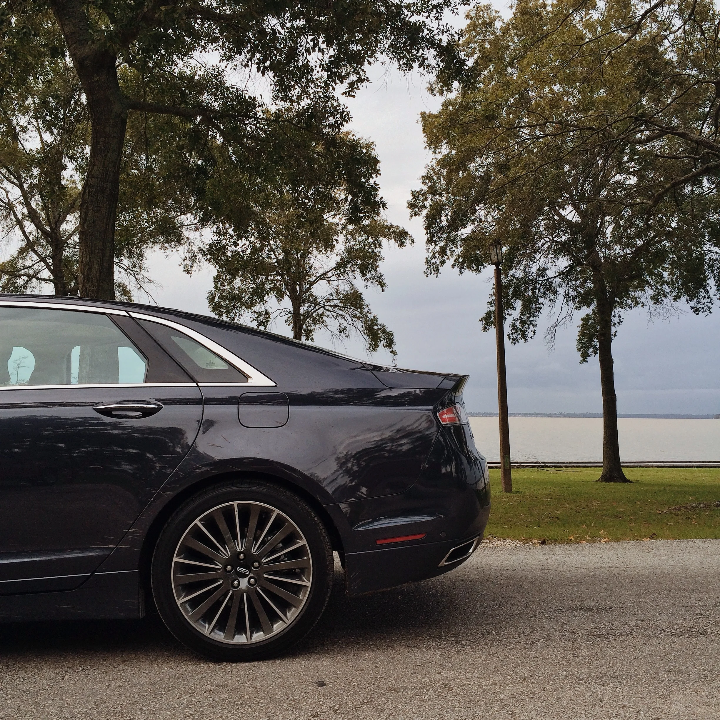 Photo Nov 04, 3 20 47 PM.jpg