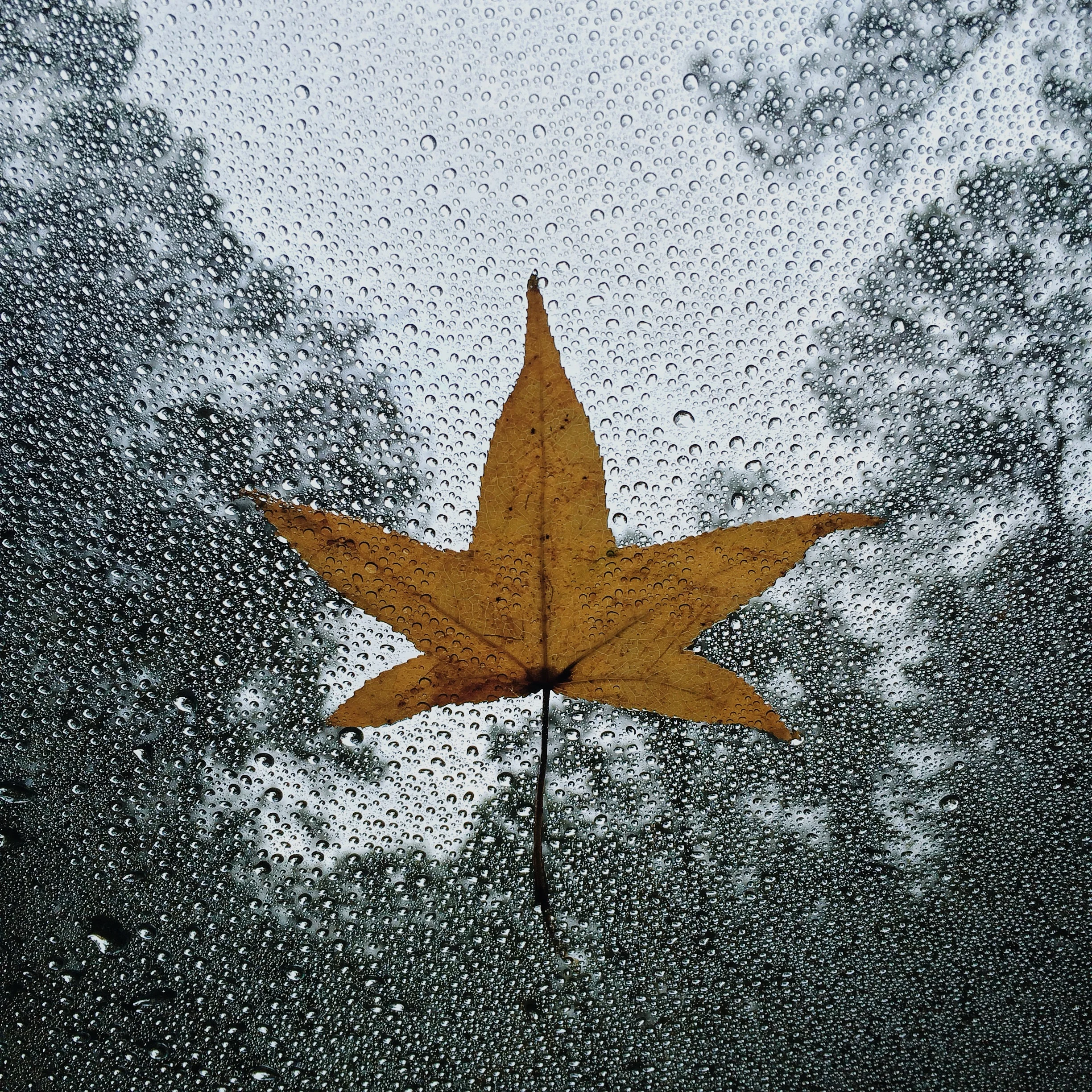 Photo Nov 04, 4 47 21 PM.jpg