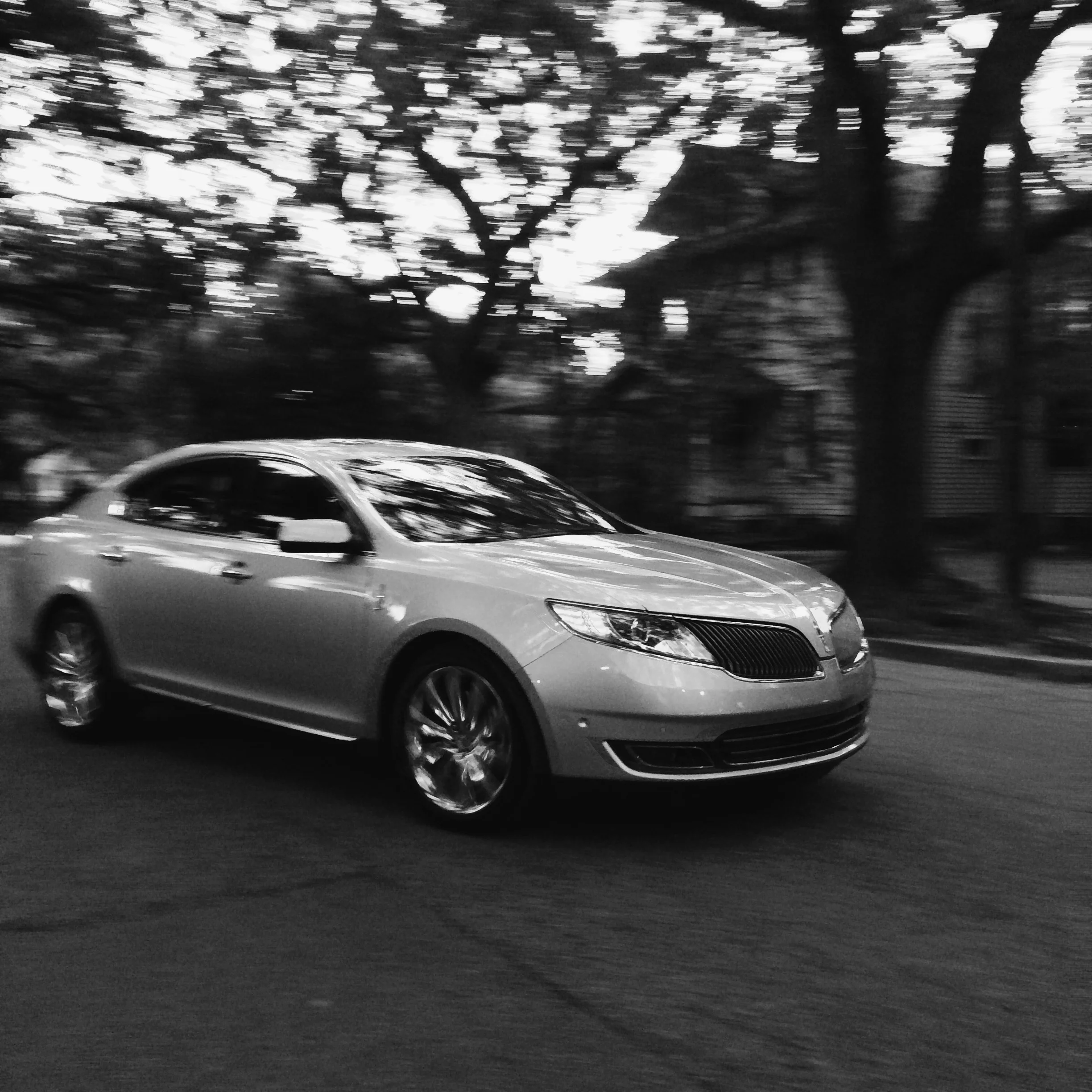 Photo Nov 04, 6 39 10 AM.jpg