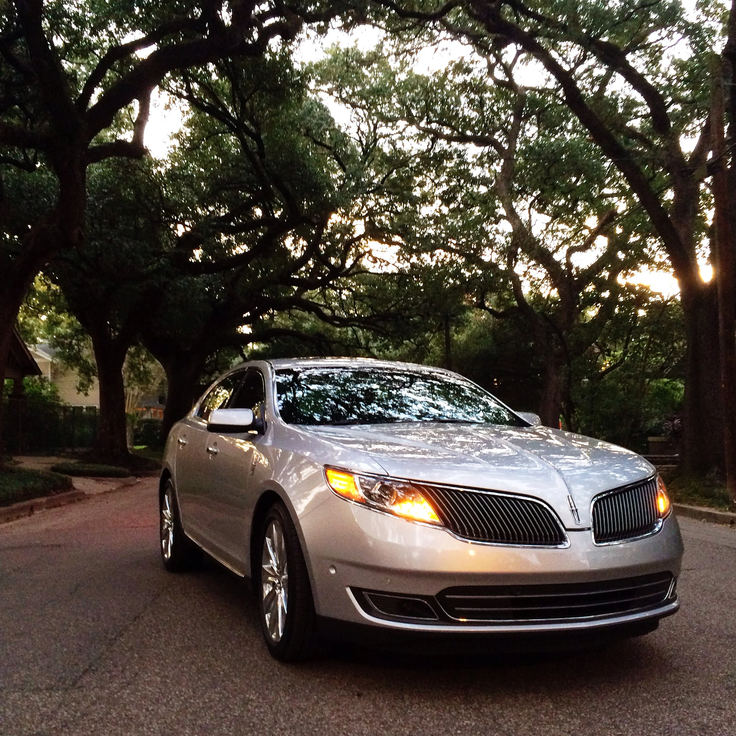 Photo Nov 04, 6 41 21 AM.jpg