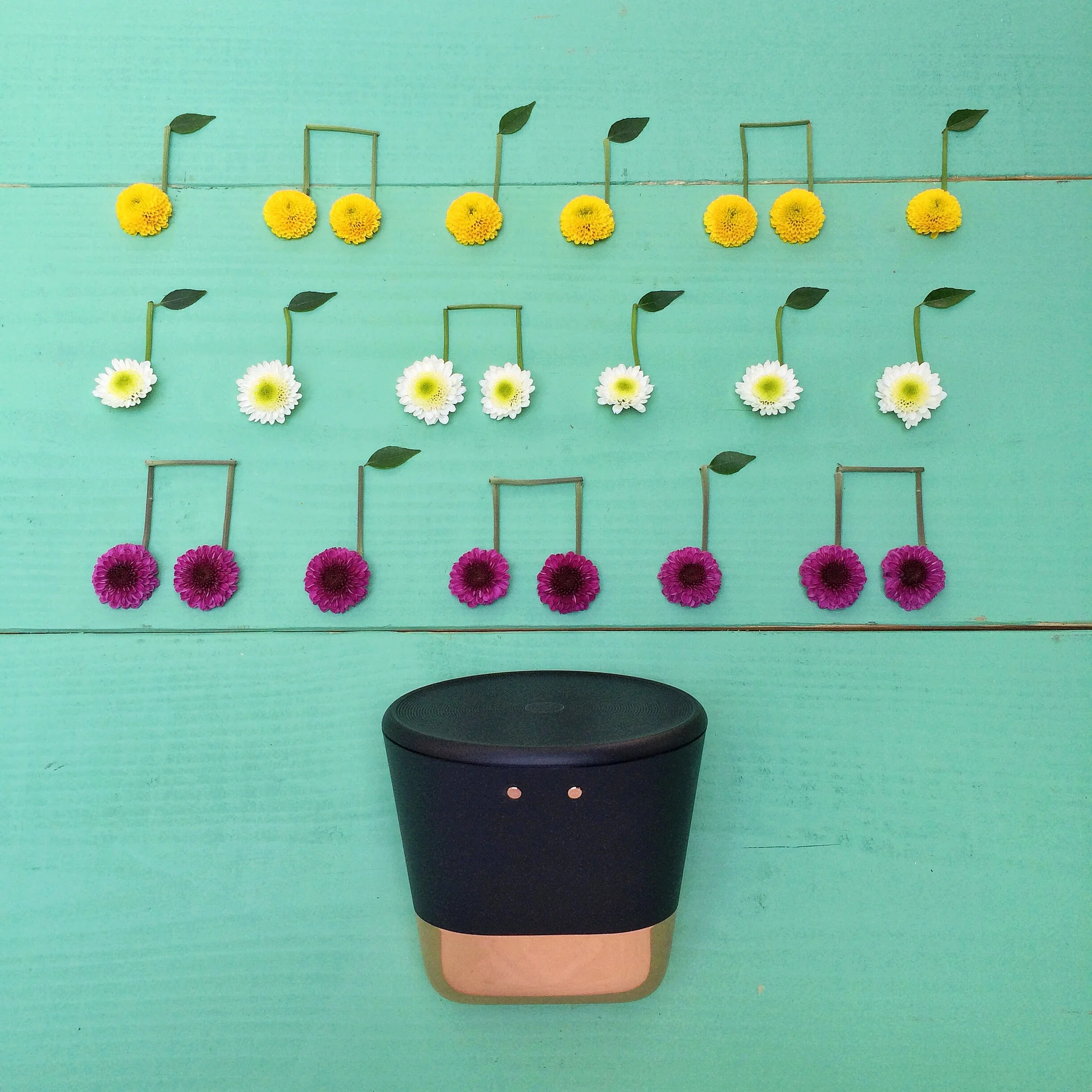 Photo May 31, 6 45 54 PM.jpg