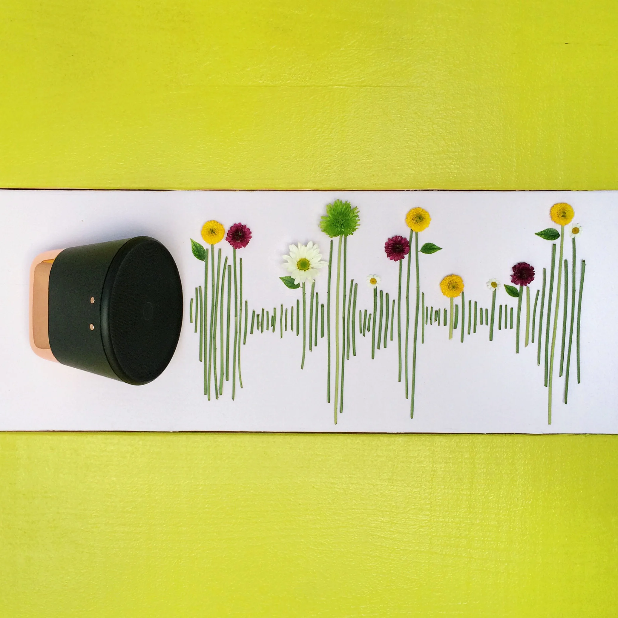 Photo Jun 02, 8 43 41 PM.jpg