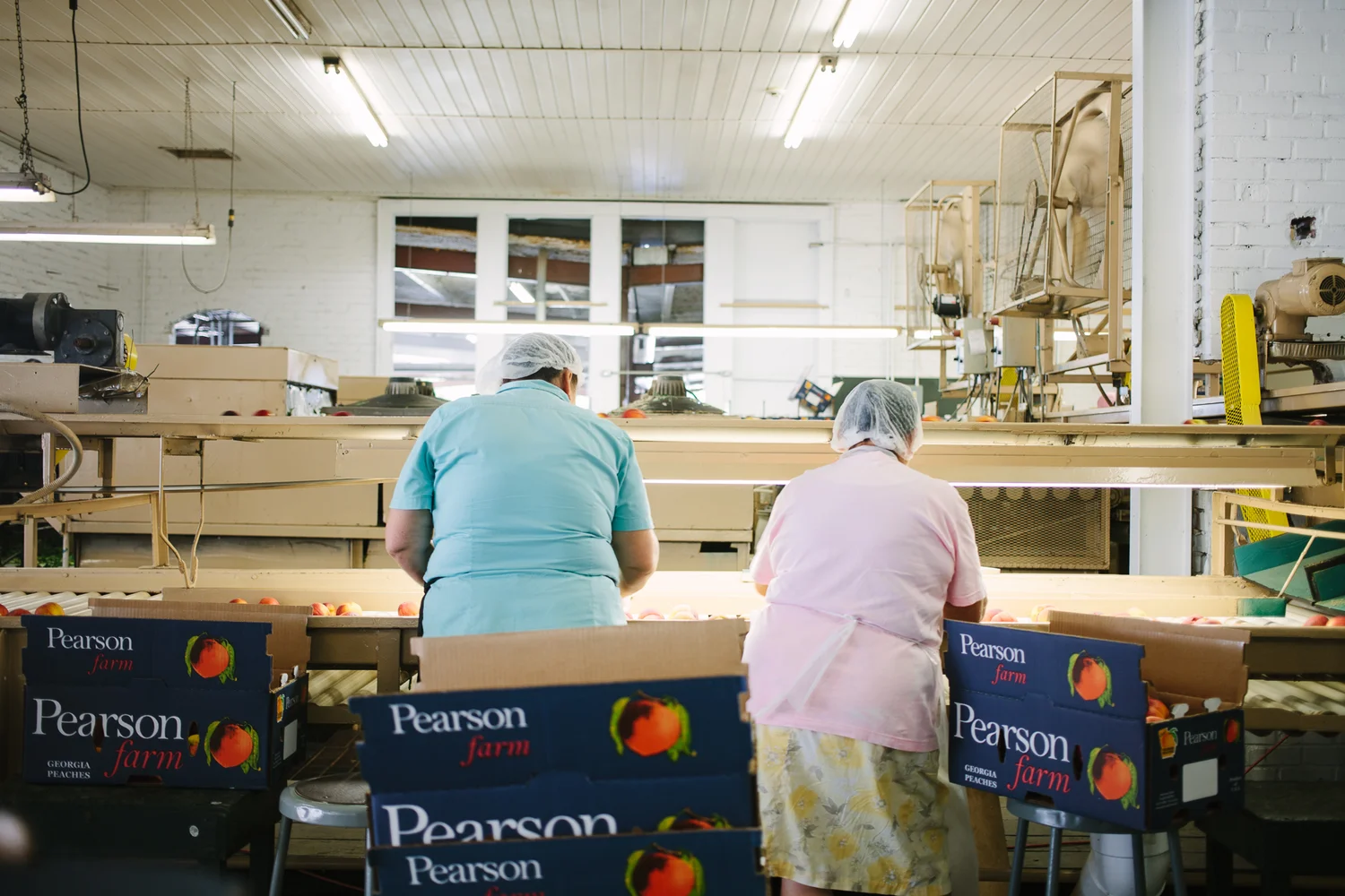 pearson farms — emily blincoe