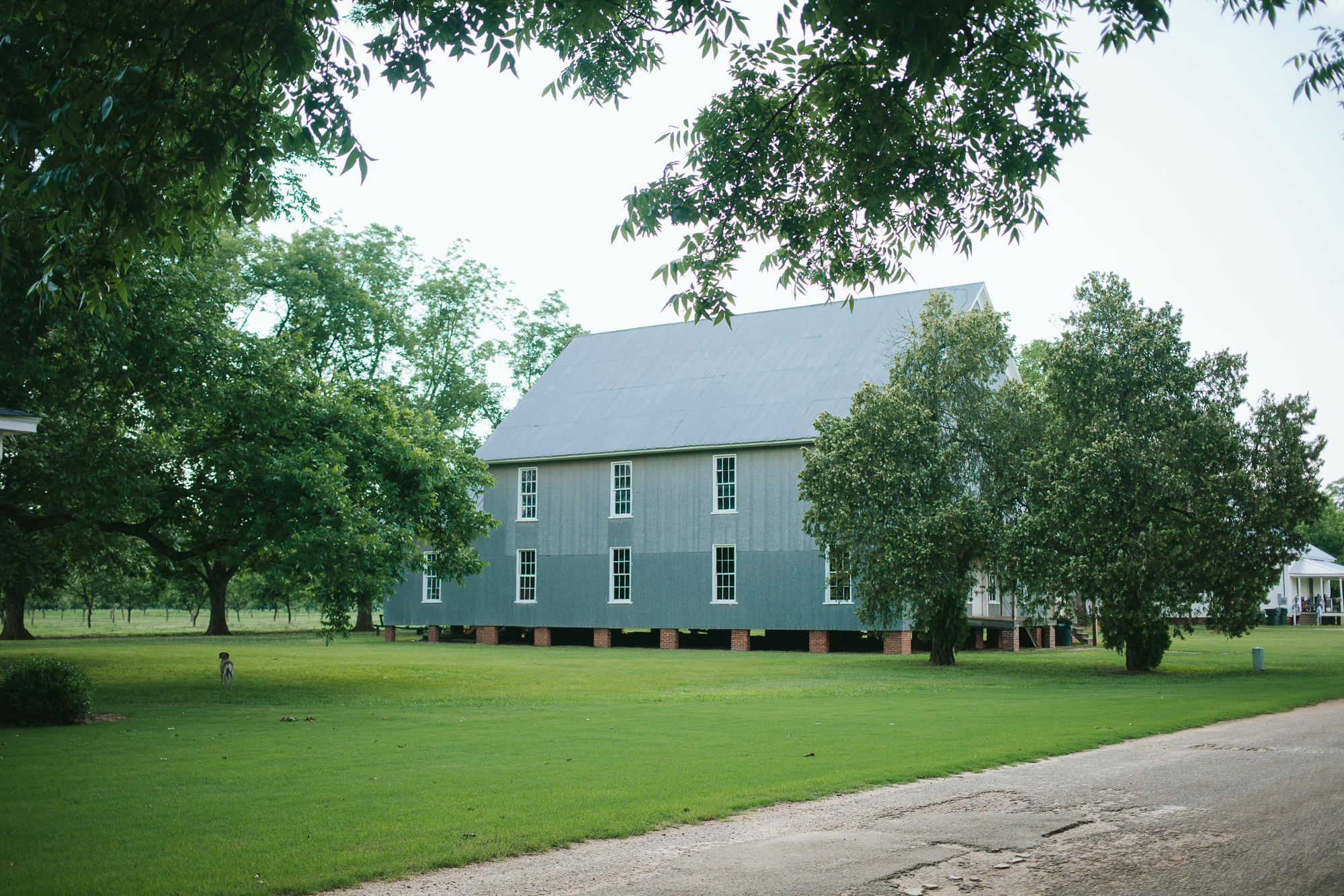 pearson farms — emily blincoe