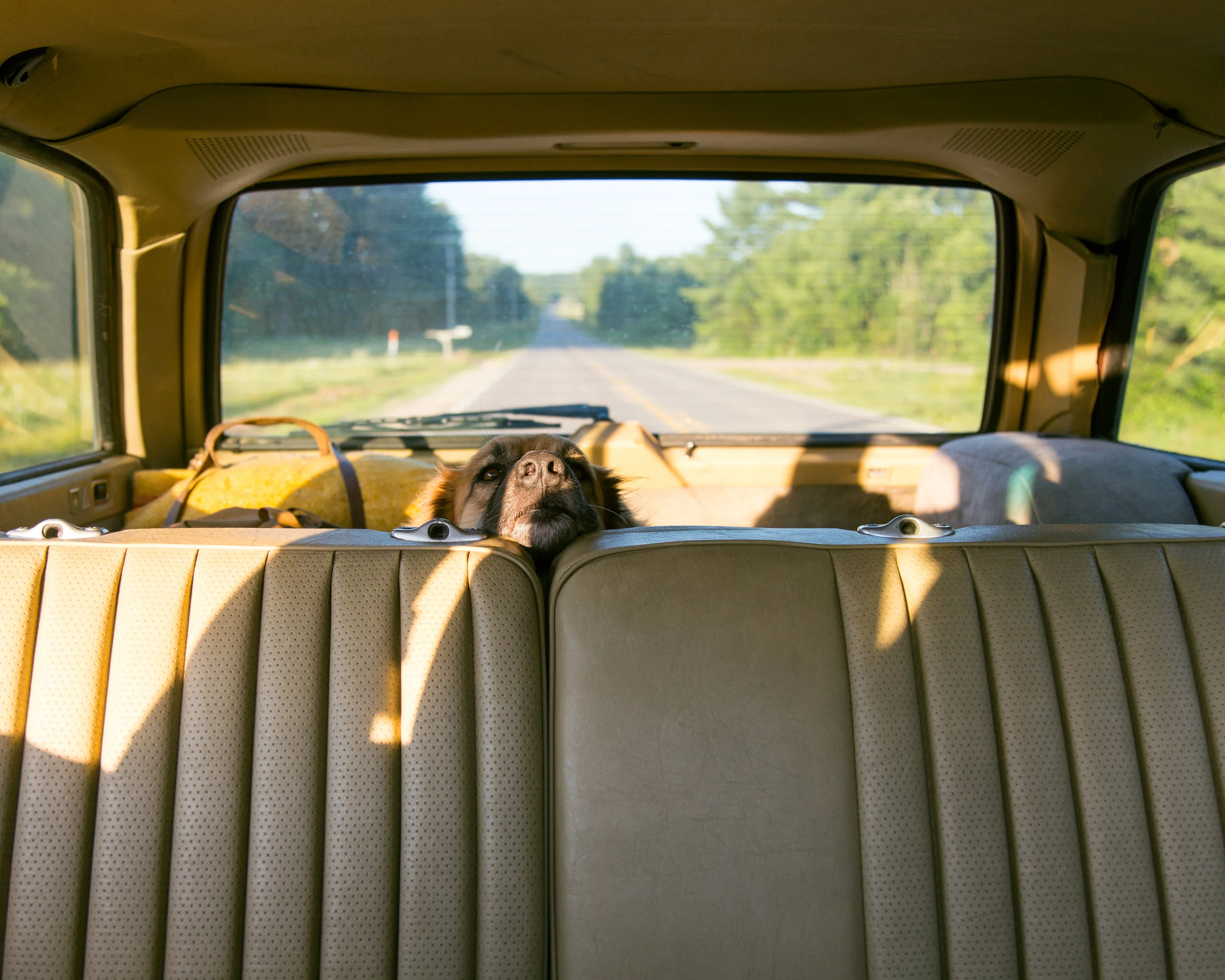 IMG_2333.jpg