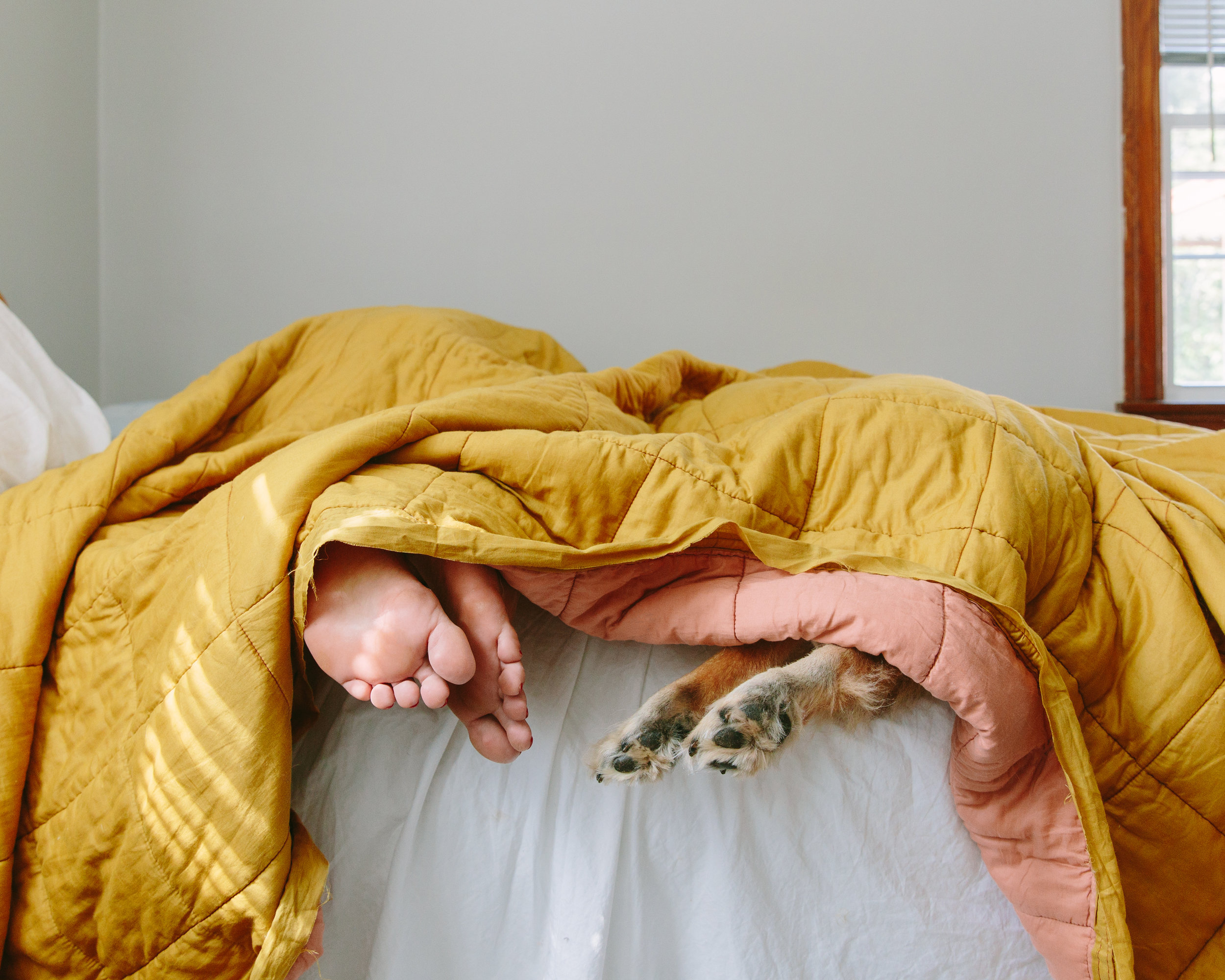 Они спят здесь. Накрывает одеялом. Укрывает одеялом. Спрятался под одеялом.