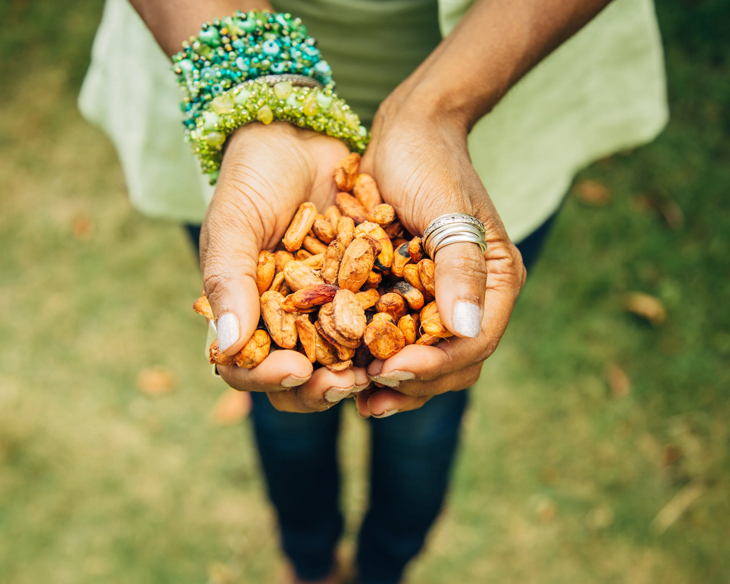 cacao from the farm. 