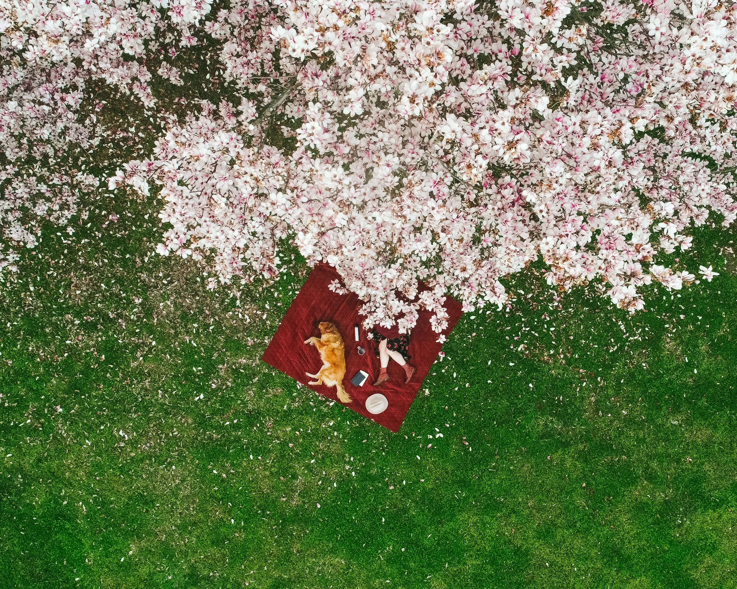 DJI_0156-Edit.jpg