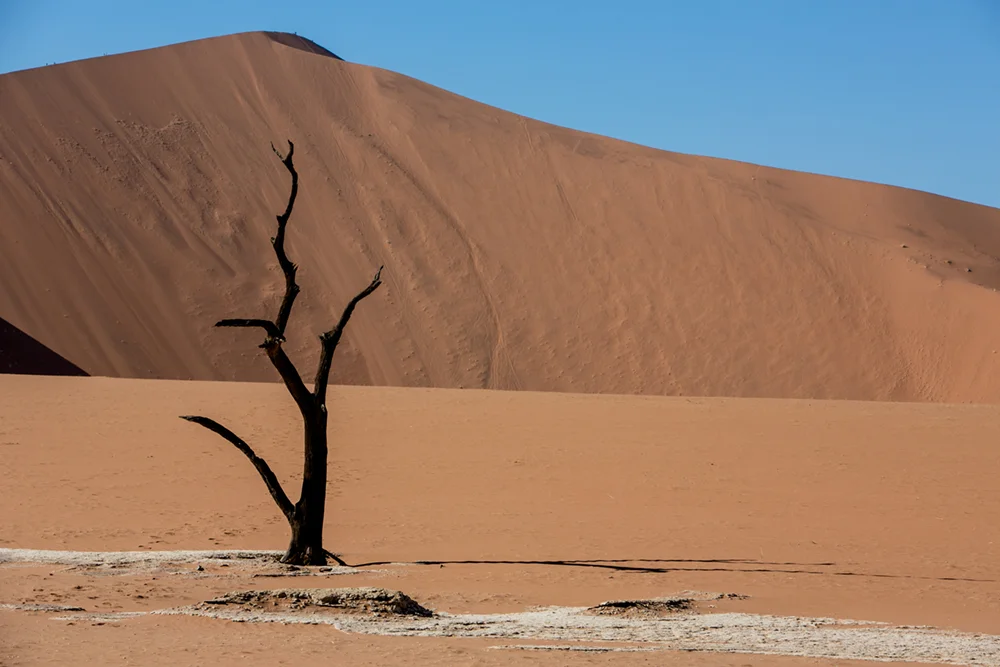 D Sossusvlei Namibia Penny Riddoch.jpg