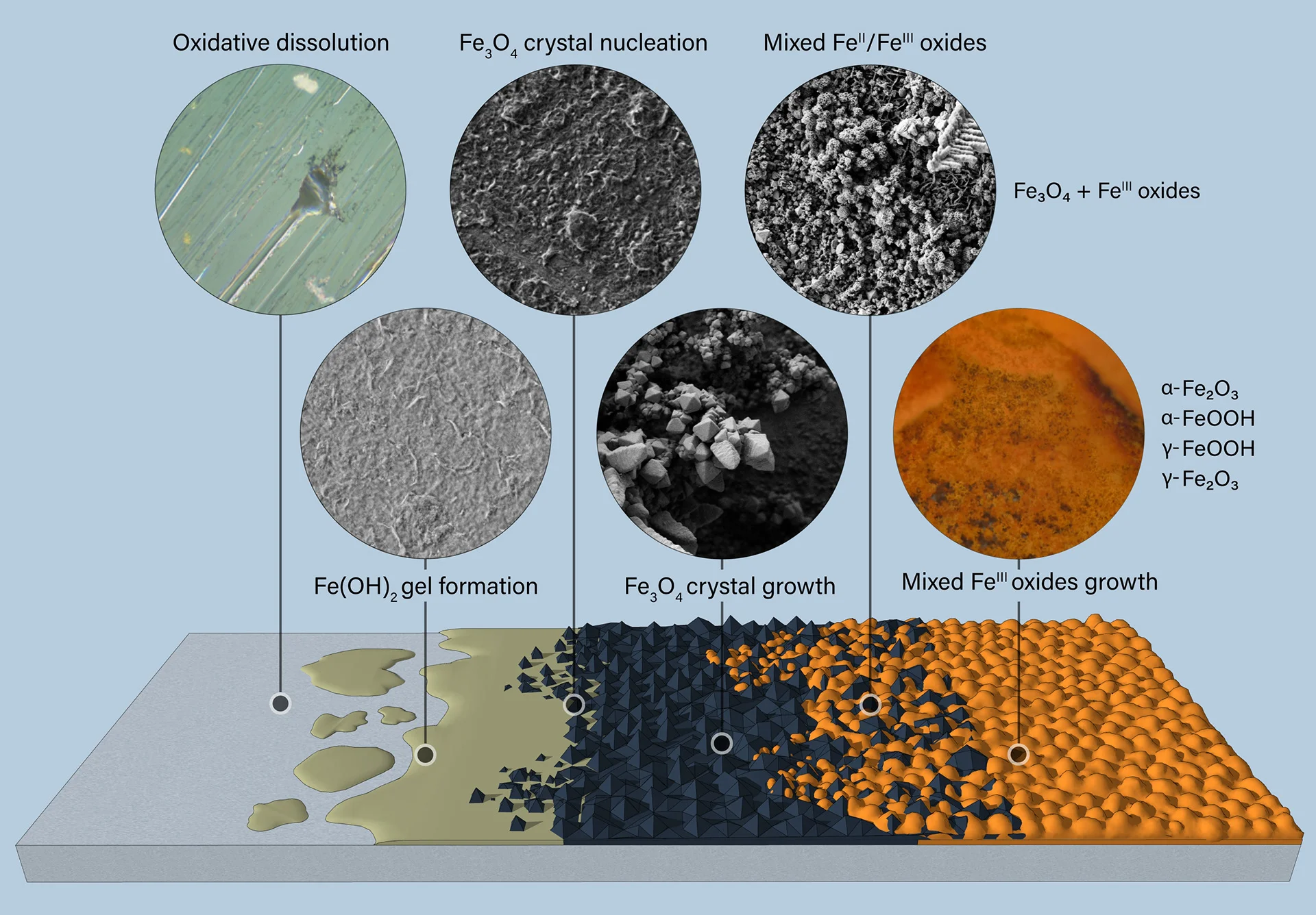 Carbon steel corrosion diagram