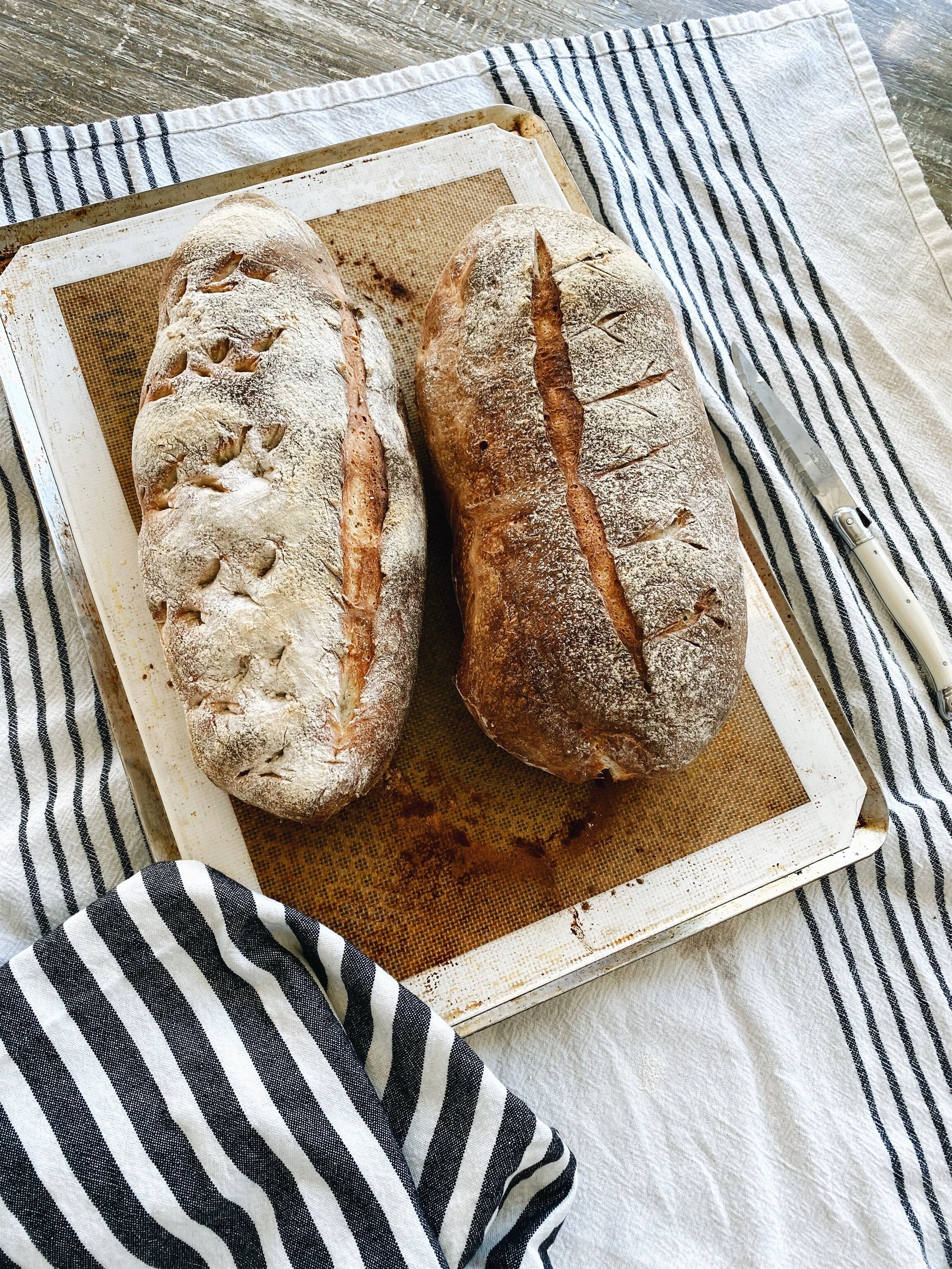 Sourdough Chewy Italian Bread Chef Shayna Sourdough starter has become a widely discussed topic lately, and it's no wonder why. chef shayna