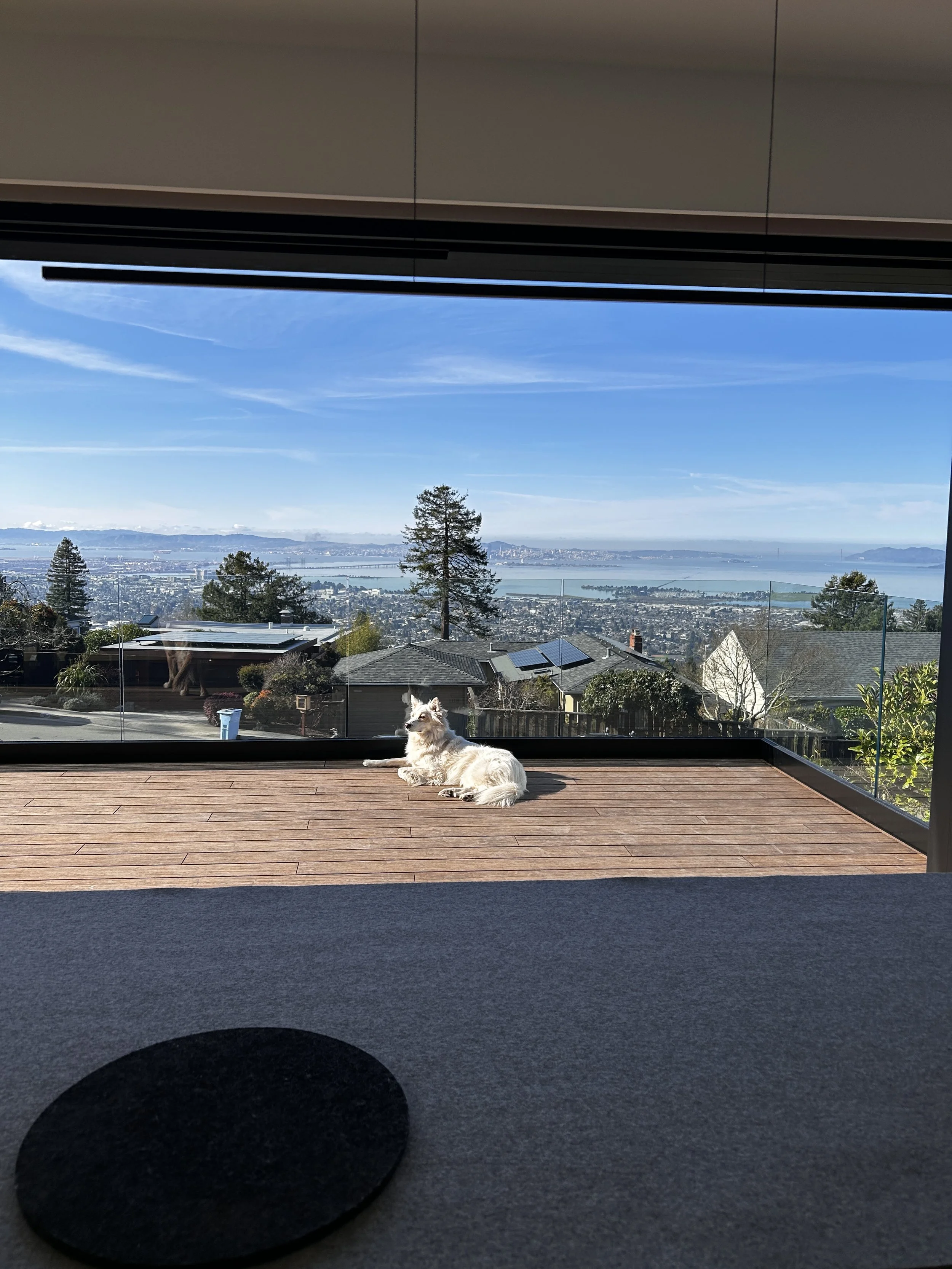 2204 Grizzly Peak_view out.JPG