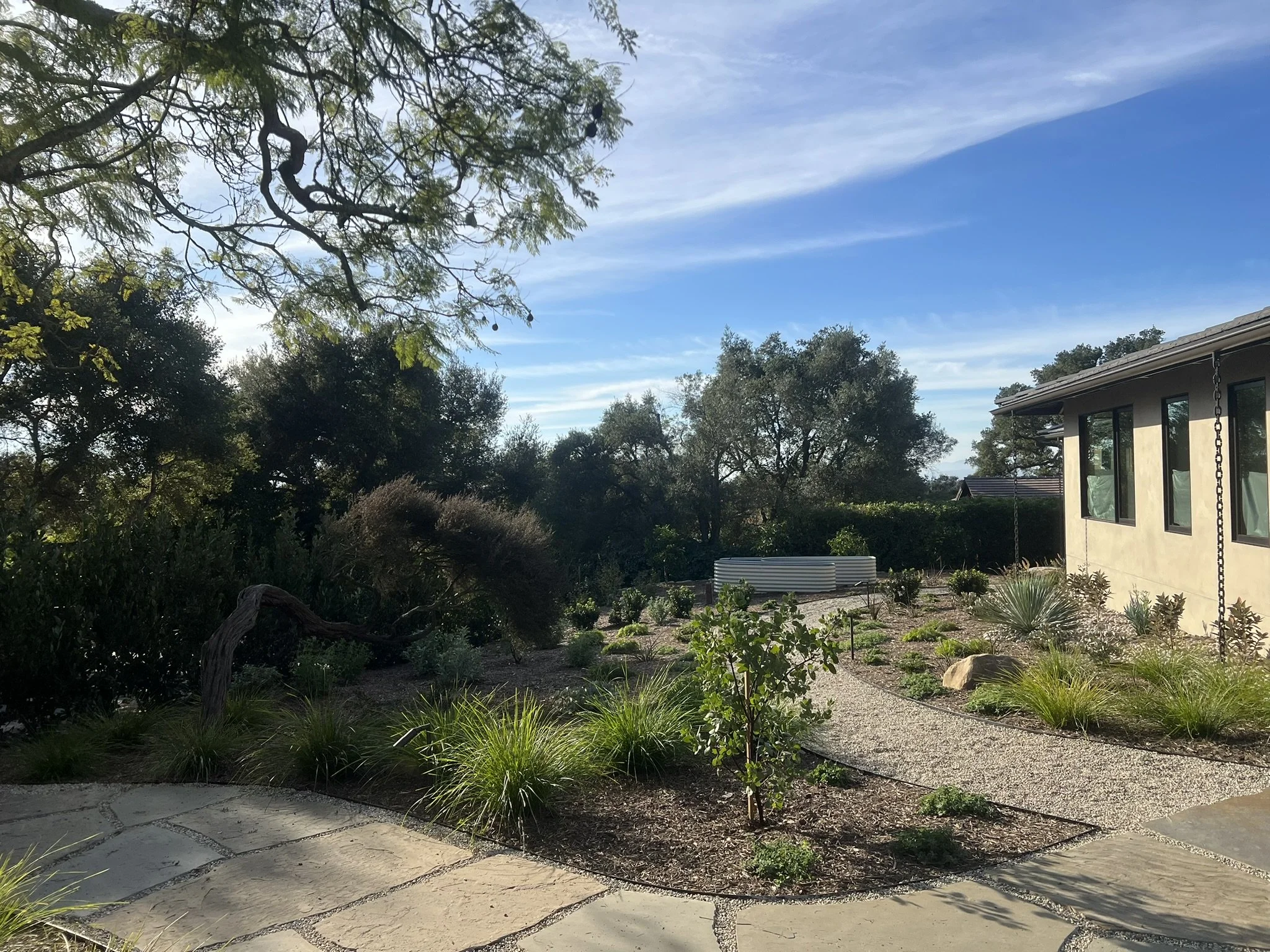 2205_las tunas_front yard.JPEG