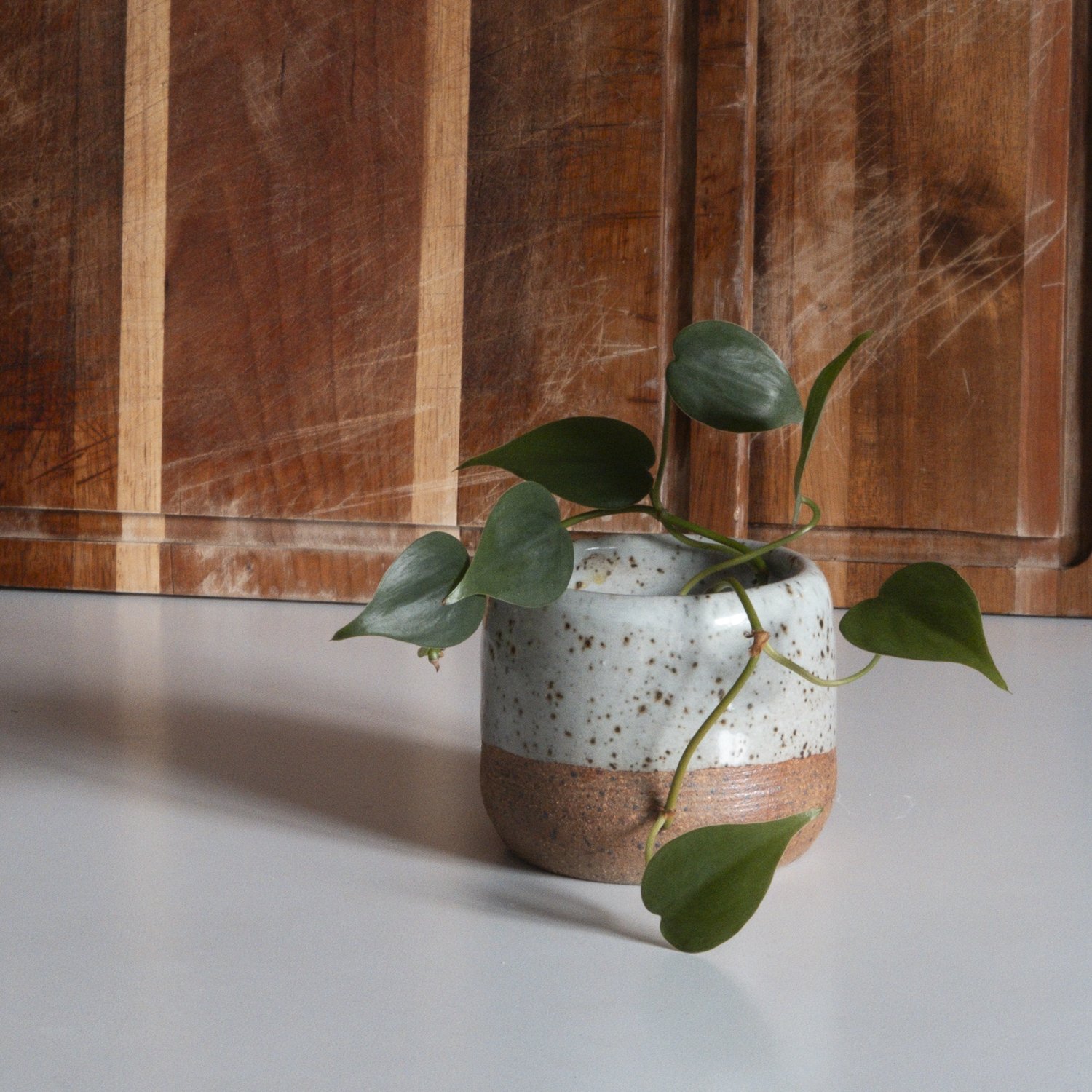 ChunkyPottery_Crop-1.jpg