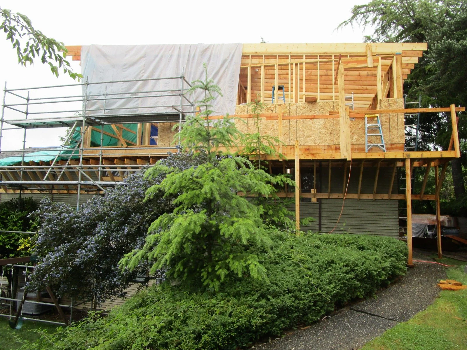 View of framing from the south side.