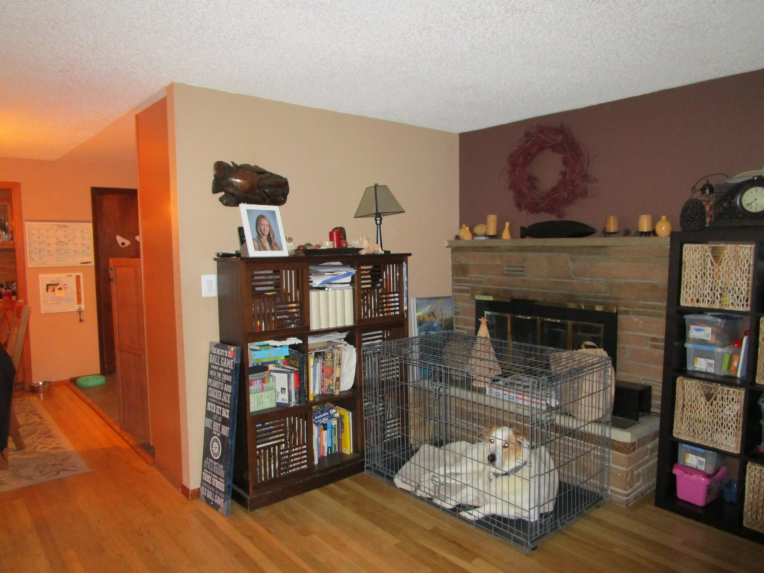 We’ll be removing all of these walls and fireplace to create the Great Room plan.