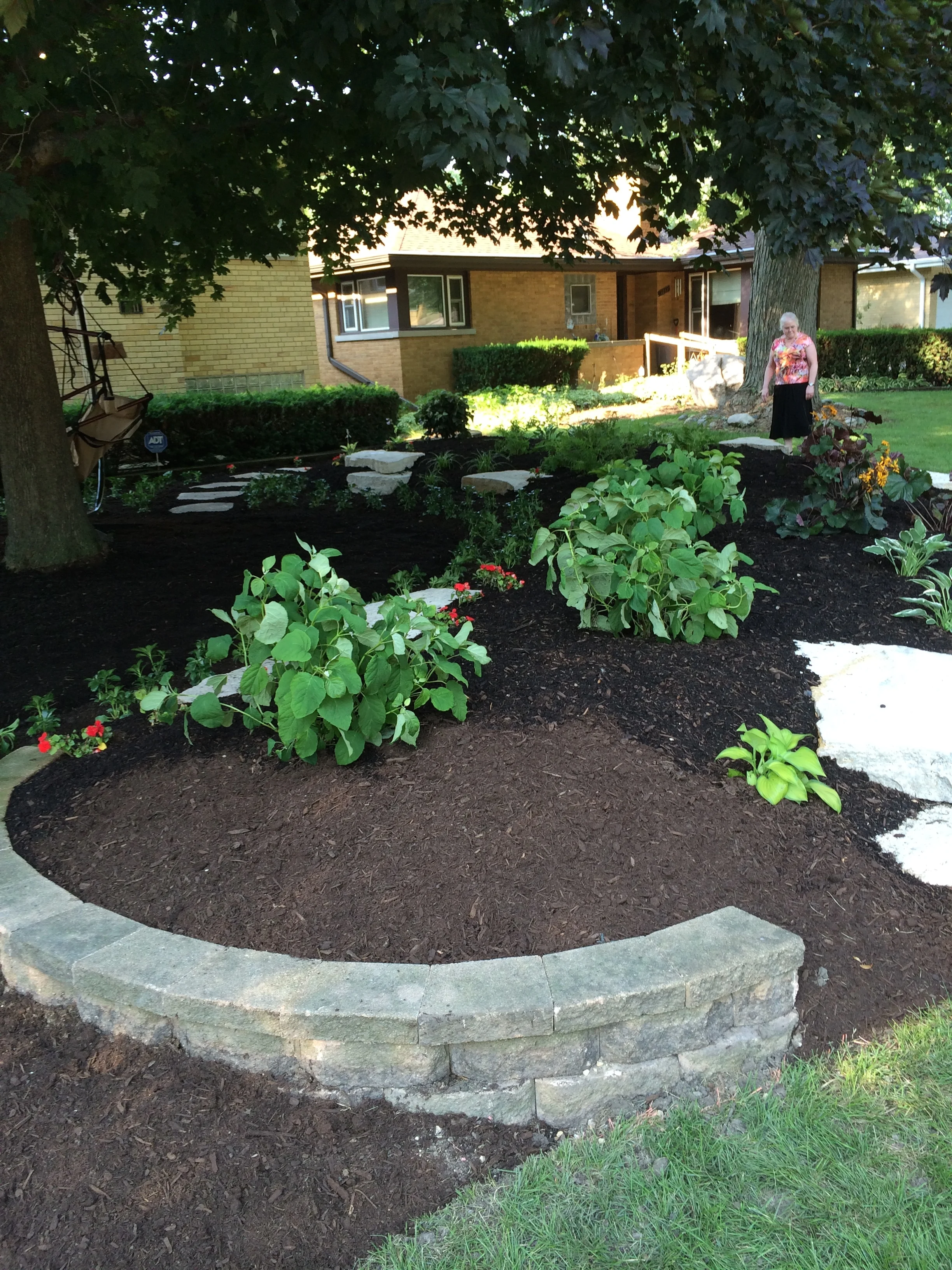 Shade Garden