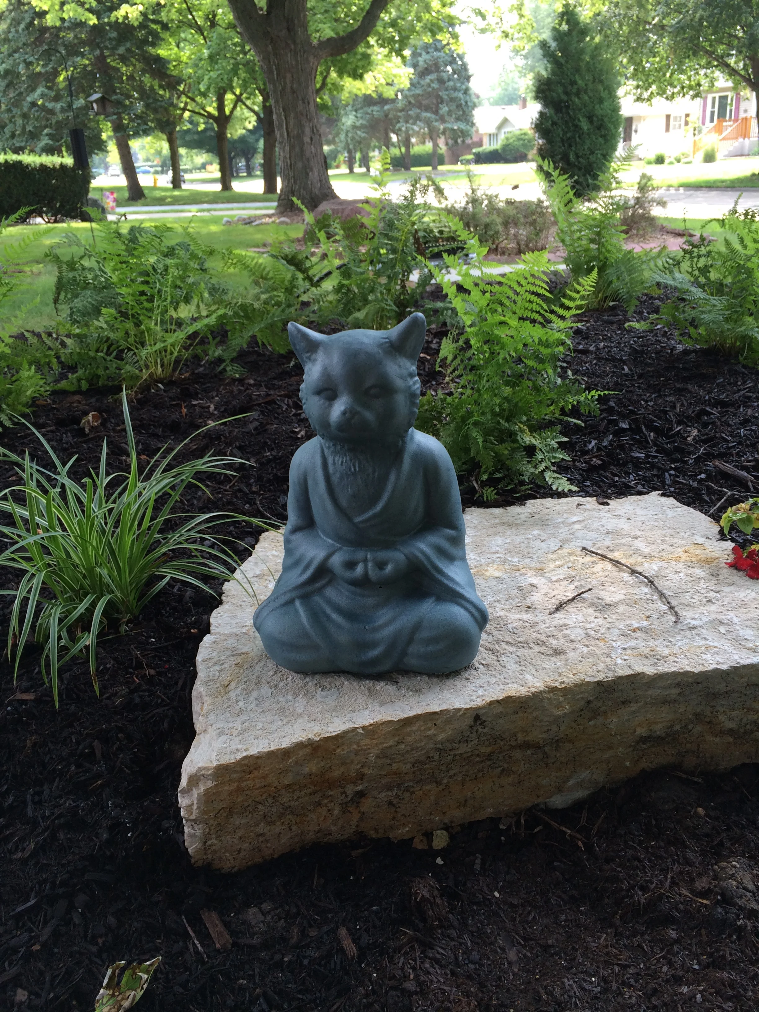 Zen Cat
