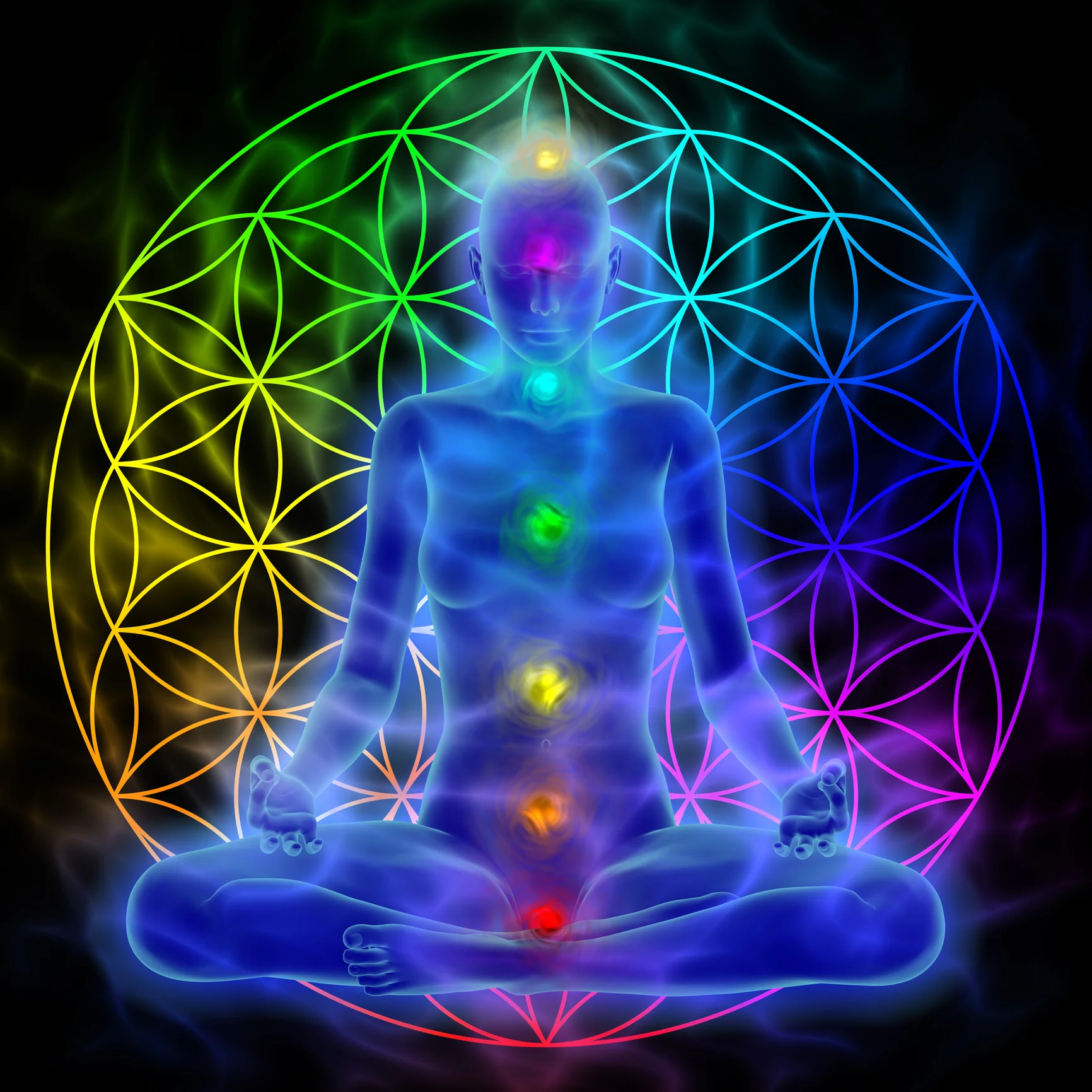 Photo by DeoSum/iStock / Getty Images