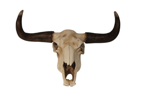 Skull.png