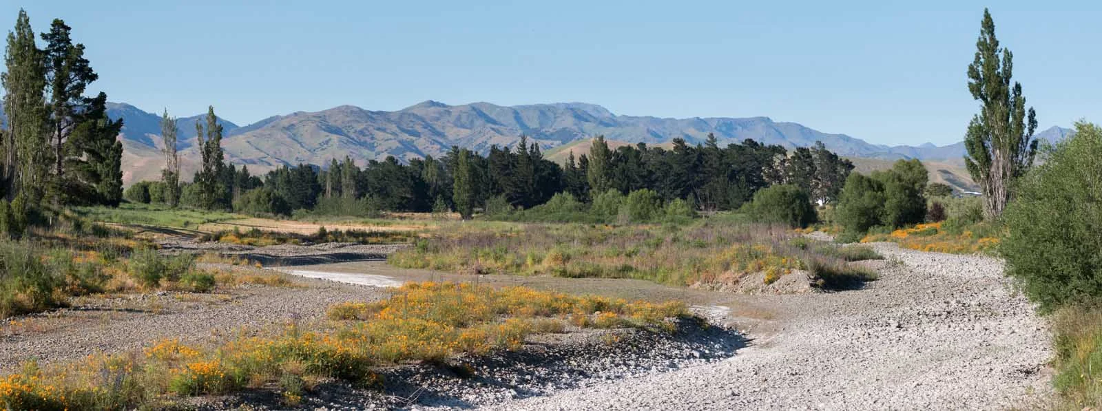 Taylor River