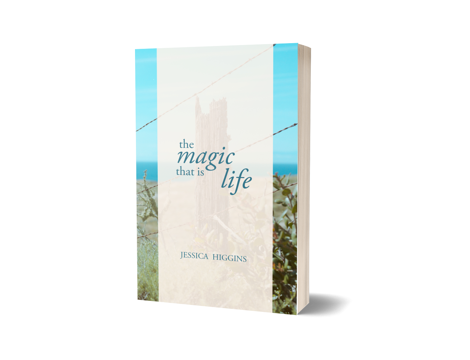 3d book cover.png