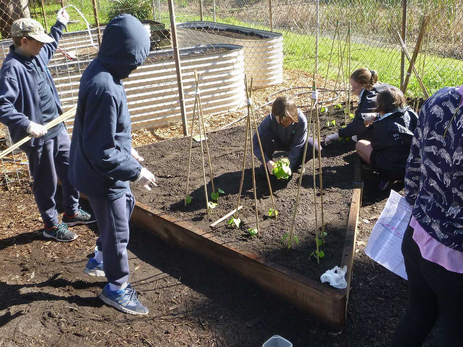 planting2.jpg