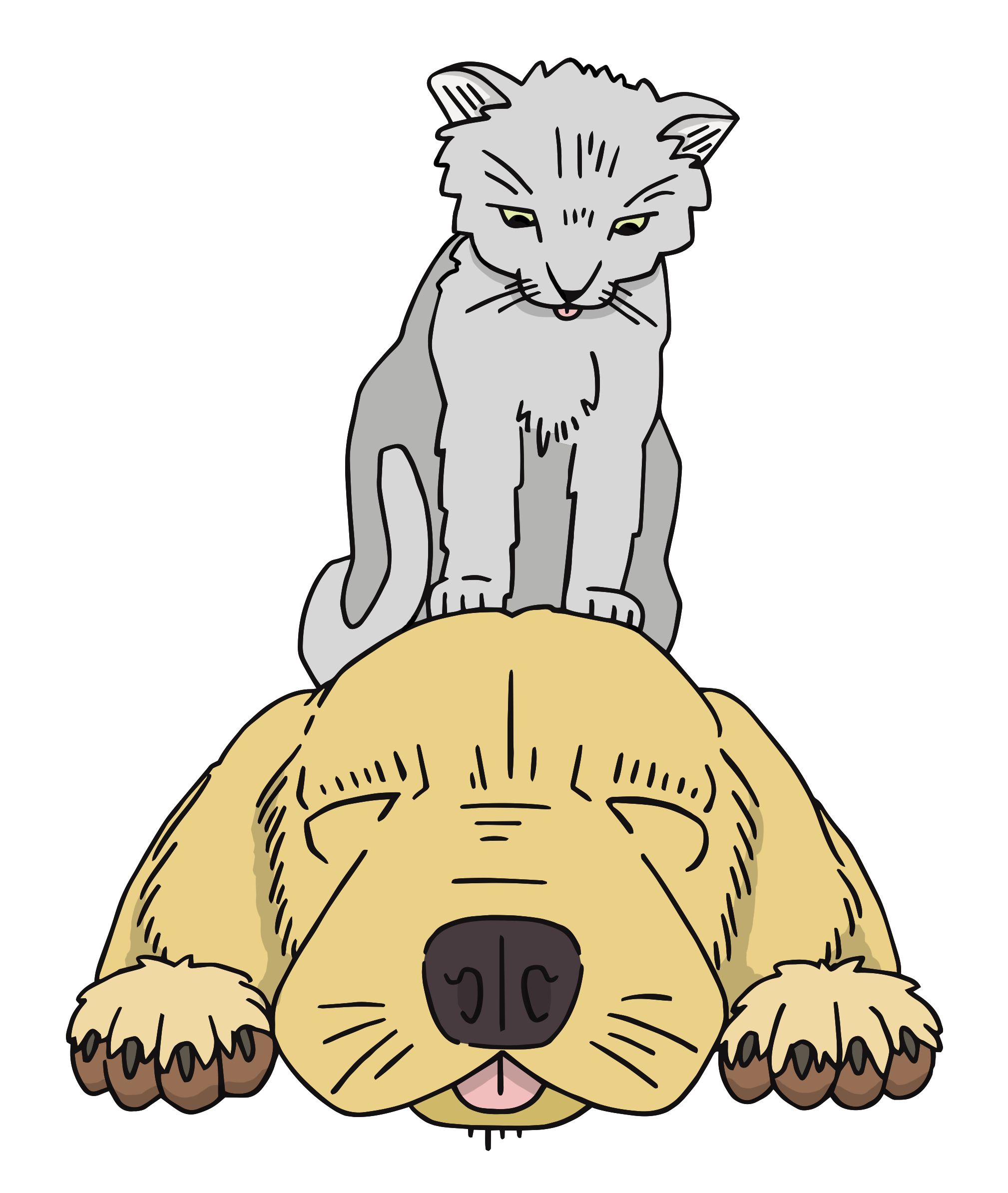 kayak-dogsandcats.png