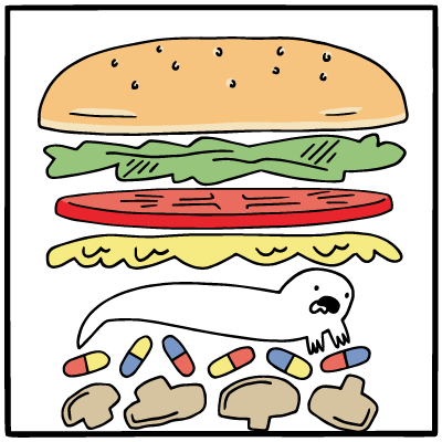 Anatomy of the Perfect Burger