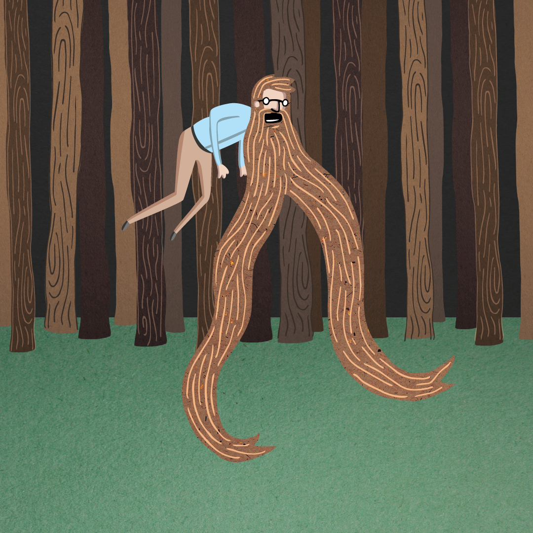Ron Linderman's Magnificent Beard, Book Concept