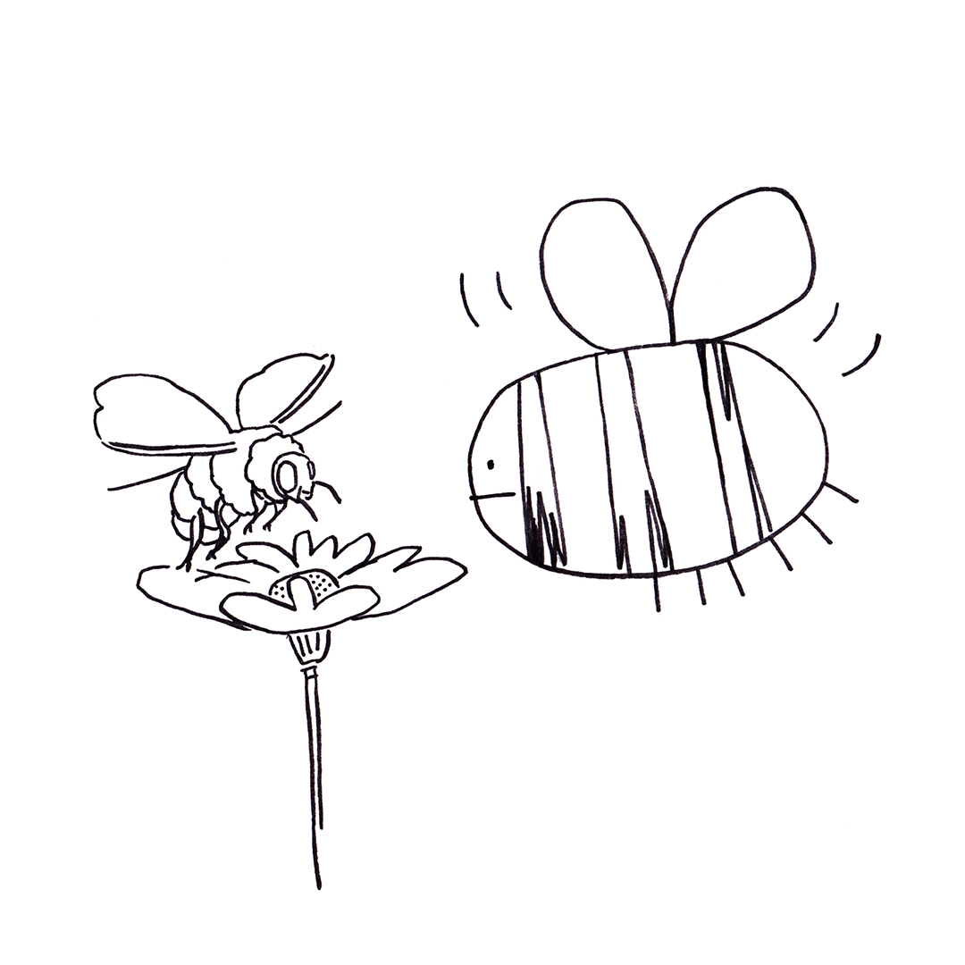 Bee Meets Bee, Sketch