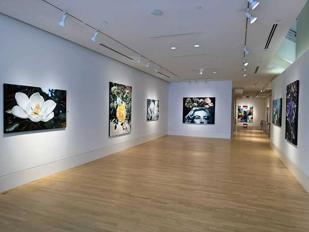 2024 Solo Exhibition - Caldwell Snyder Gallery