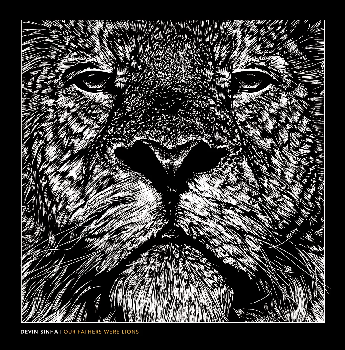 Devin Sinha Album Cover