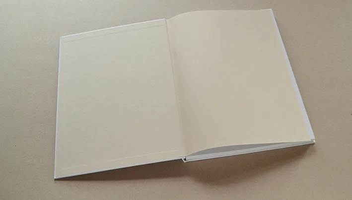 Liechtensteinsicher_Landtag_Jubiläumsbuch_150 Jahre_gschart_02.JPG