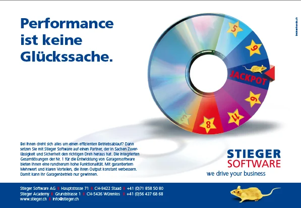 Stieger_Software_Anzeige_01_gschart.jpg