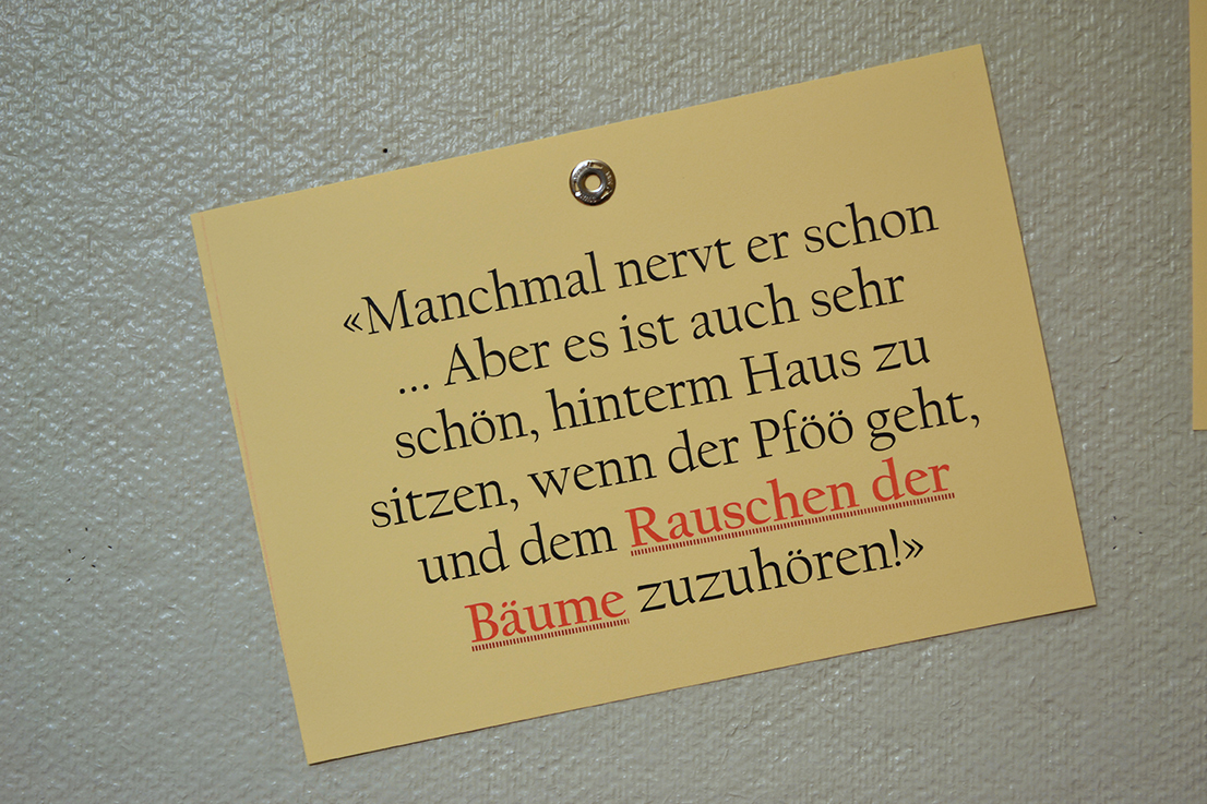Der_Föhn_im_Alten-Pfarrhof_Balzers_072_gschart.JPG