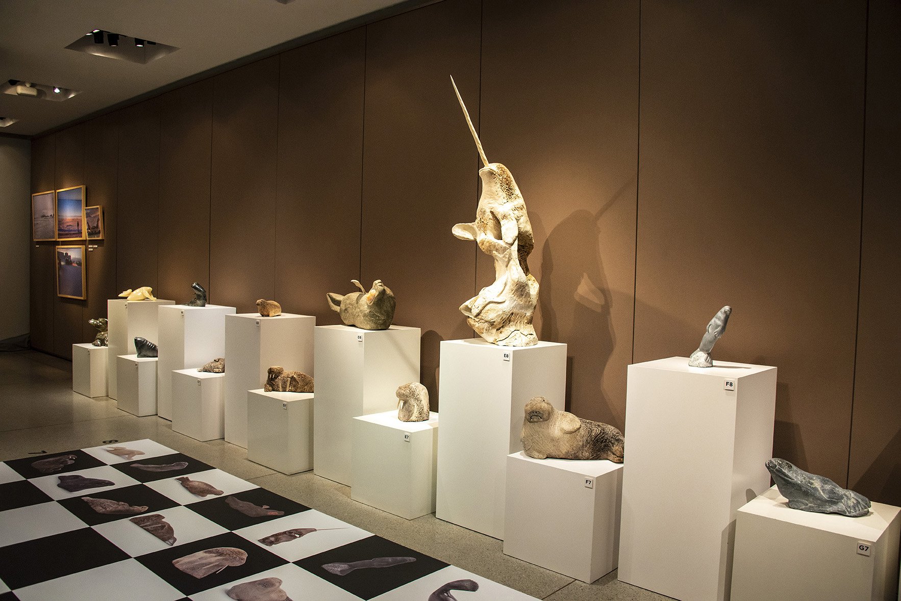 LLM_50-shapes-of-prey_202_gschart_0142.jpg