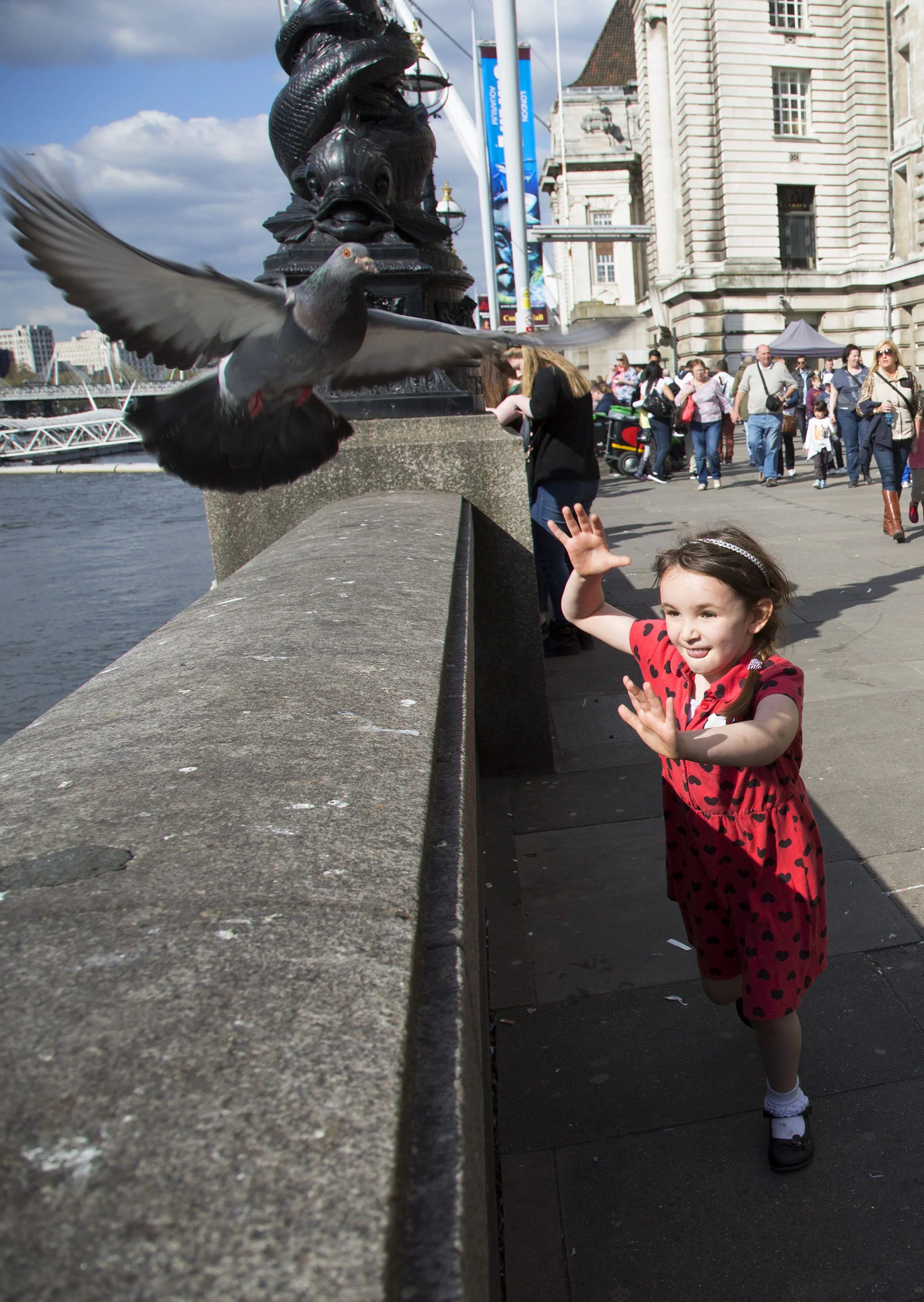 Little girl tries to catch a pigeon which is too quick for her.