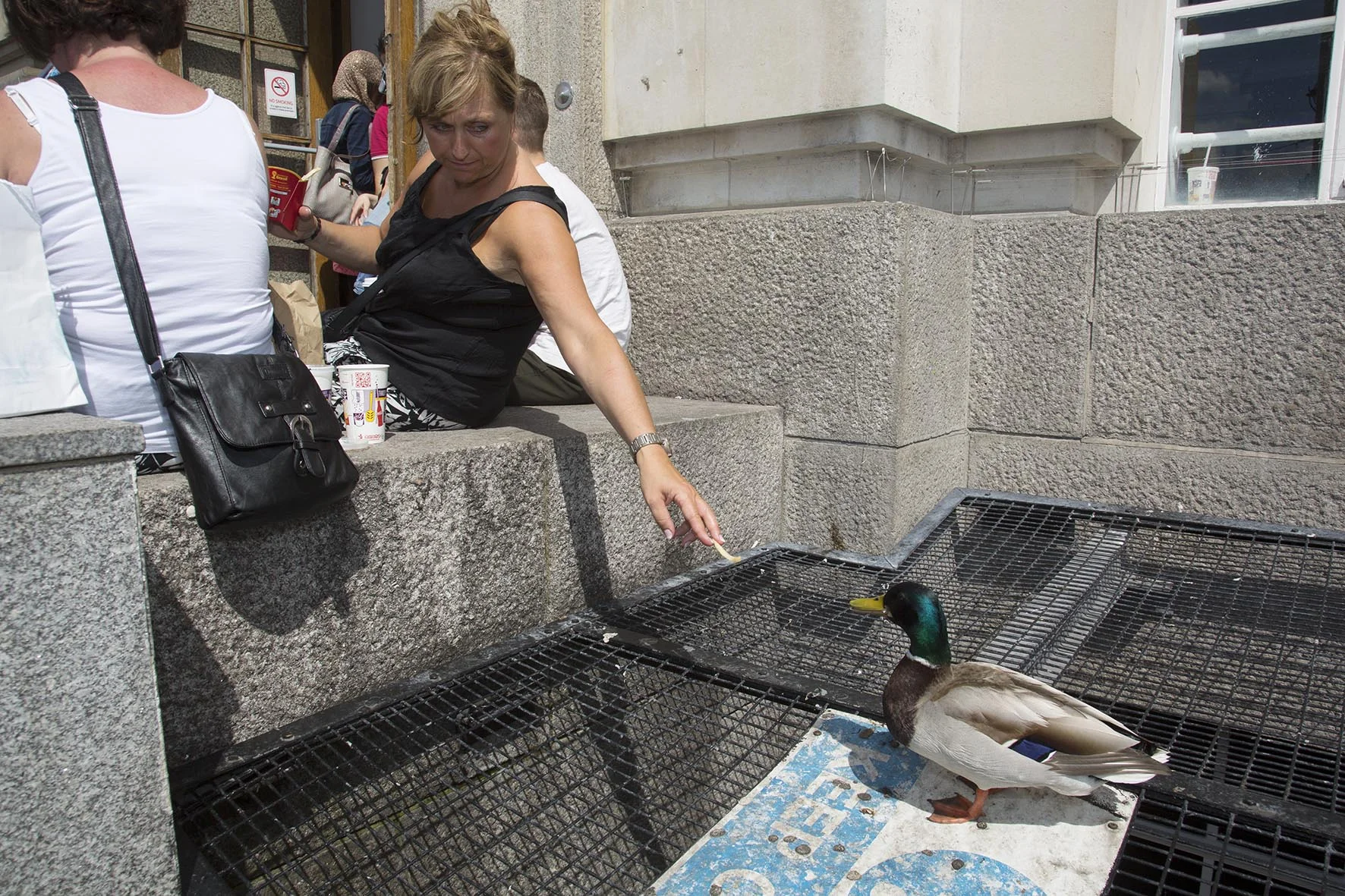 Opportunistic duck that hangs around outside McDonalds gets his prize.