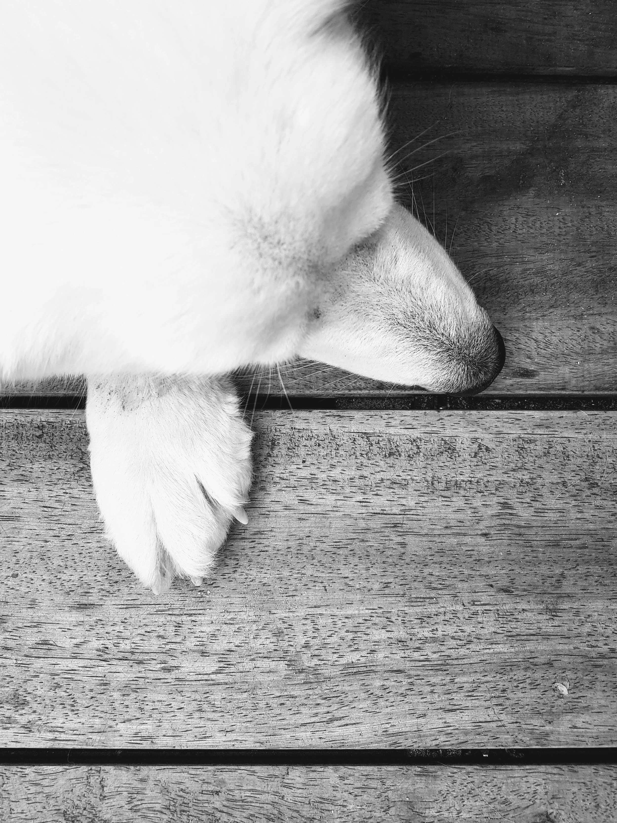 20190601_225655.jpg