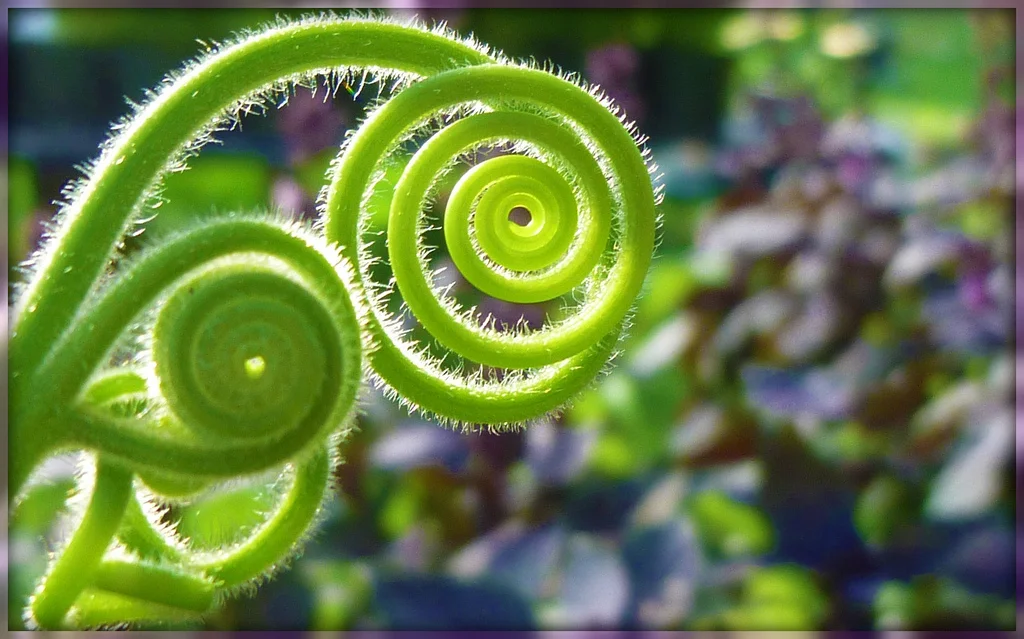 Spiral Staircases Inspired by Nature — Hinson