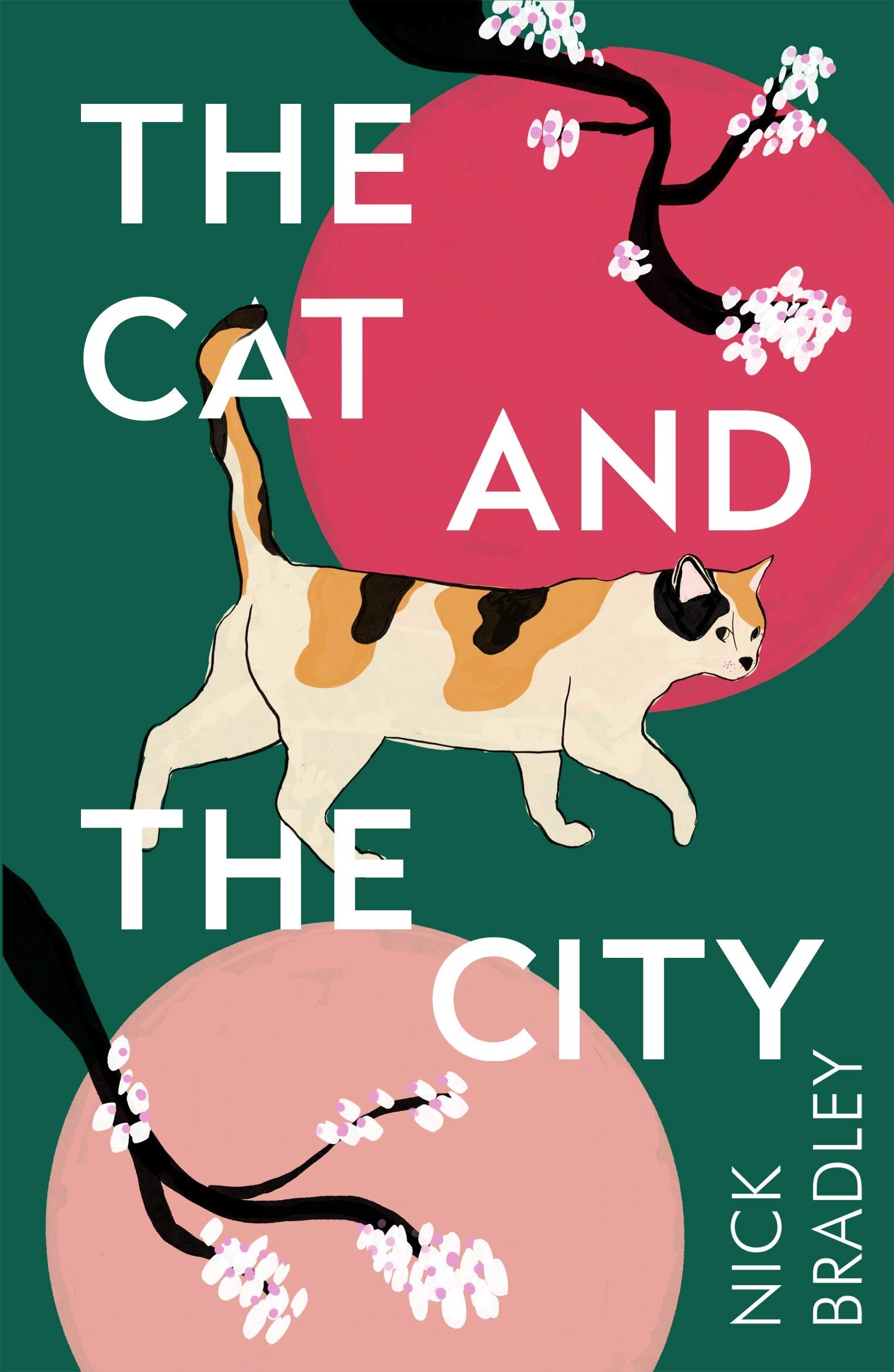 CAT CITY.jpg