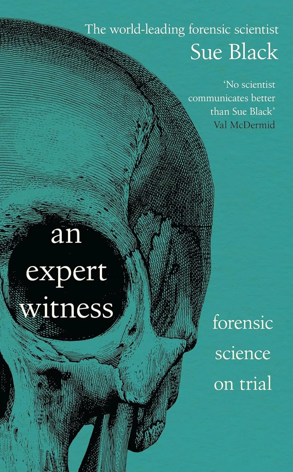 An Expert Witness (cover from Amazon).jpg
