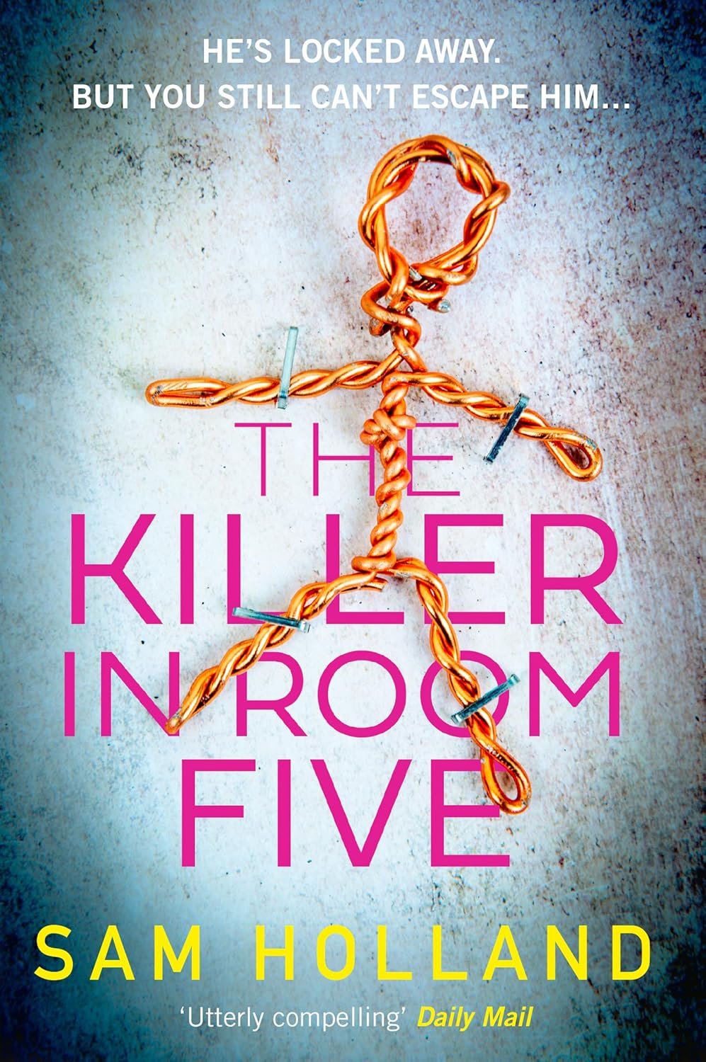 Cover (from Amazon).jpg