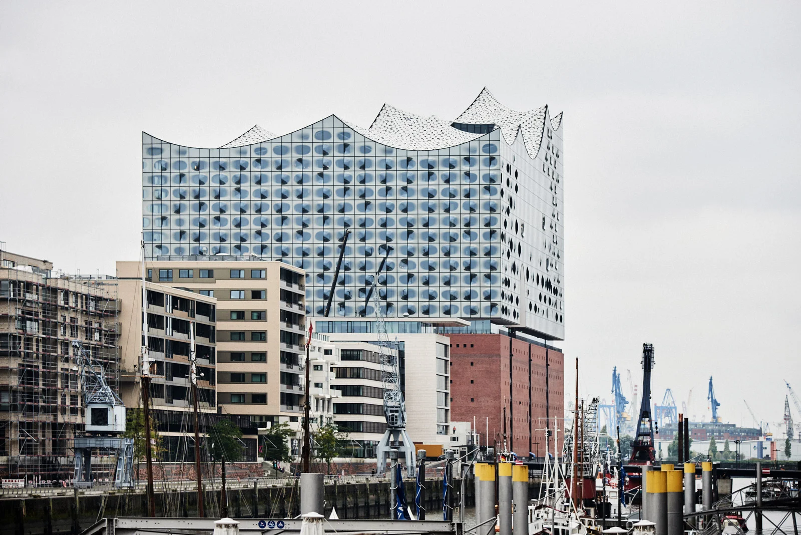 79A_9533.jpg